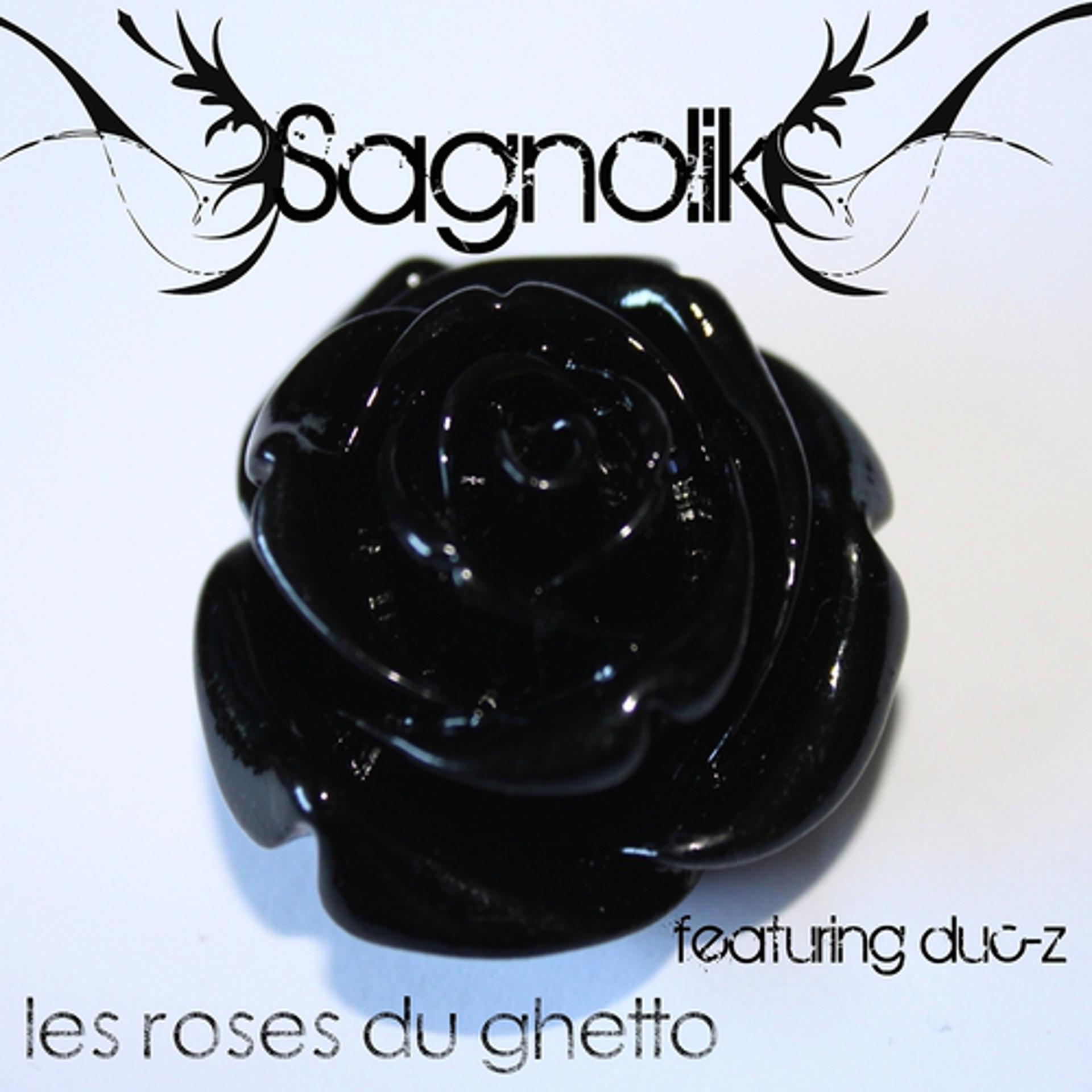 Постер альбома Les roses du ghetto