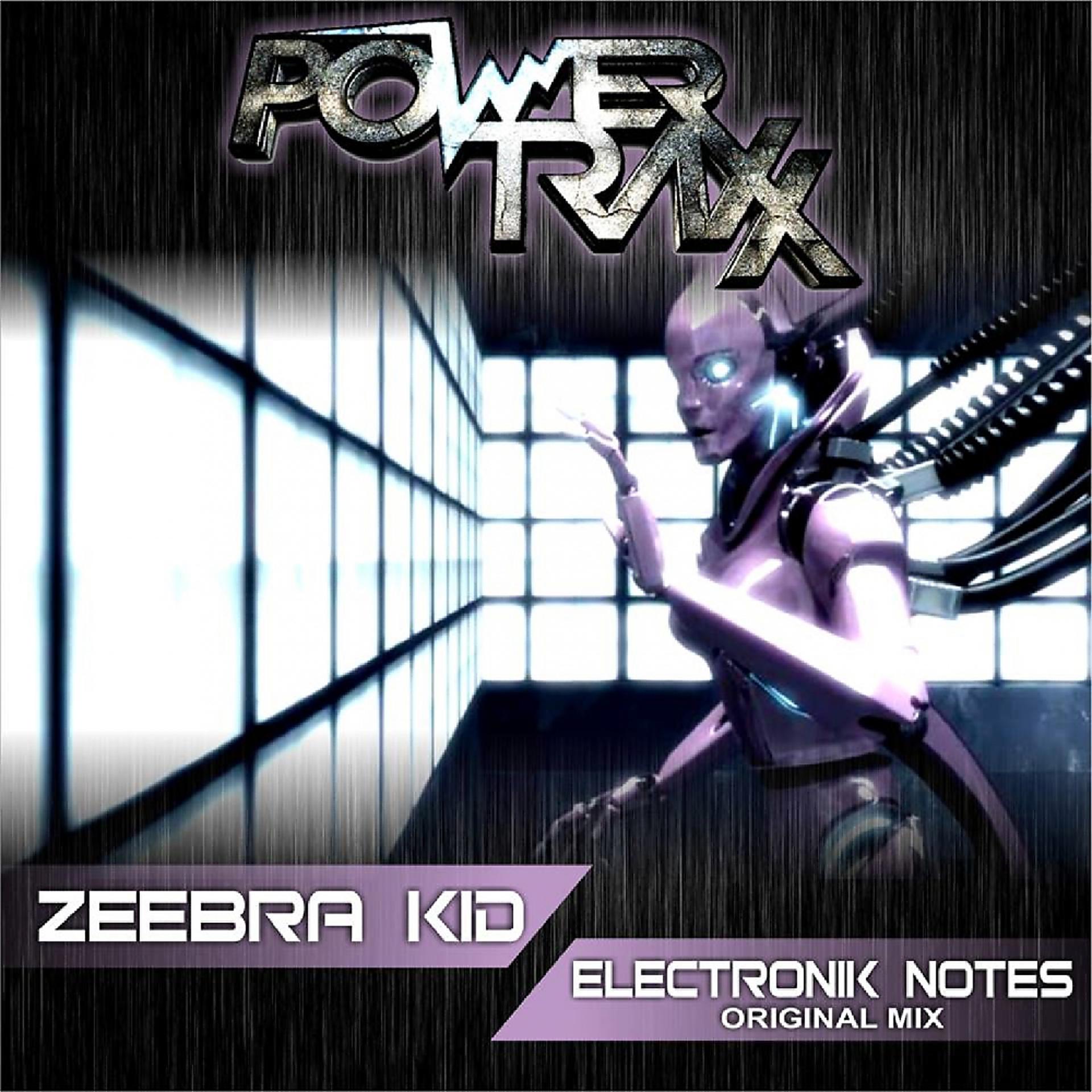Постер альбома Electronik Notes