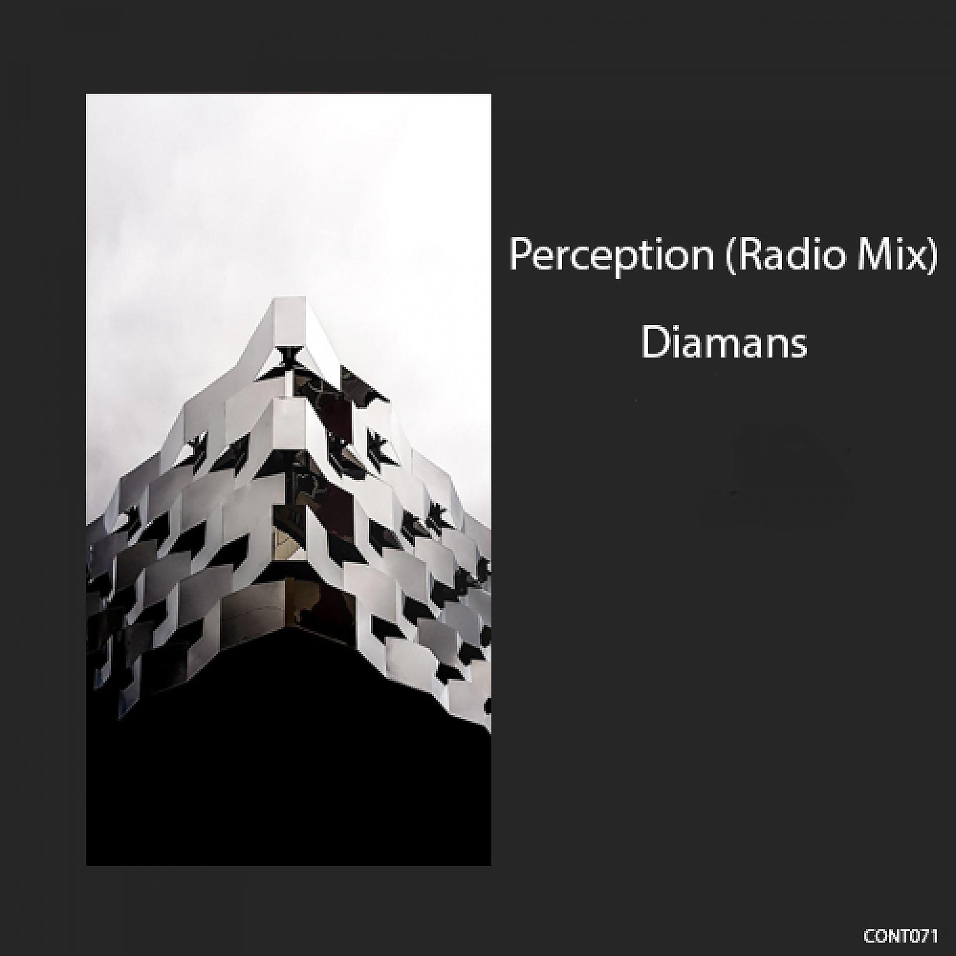 Постер альбома Perception (Radio Mix)