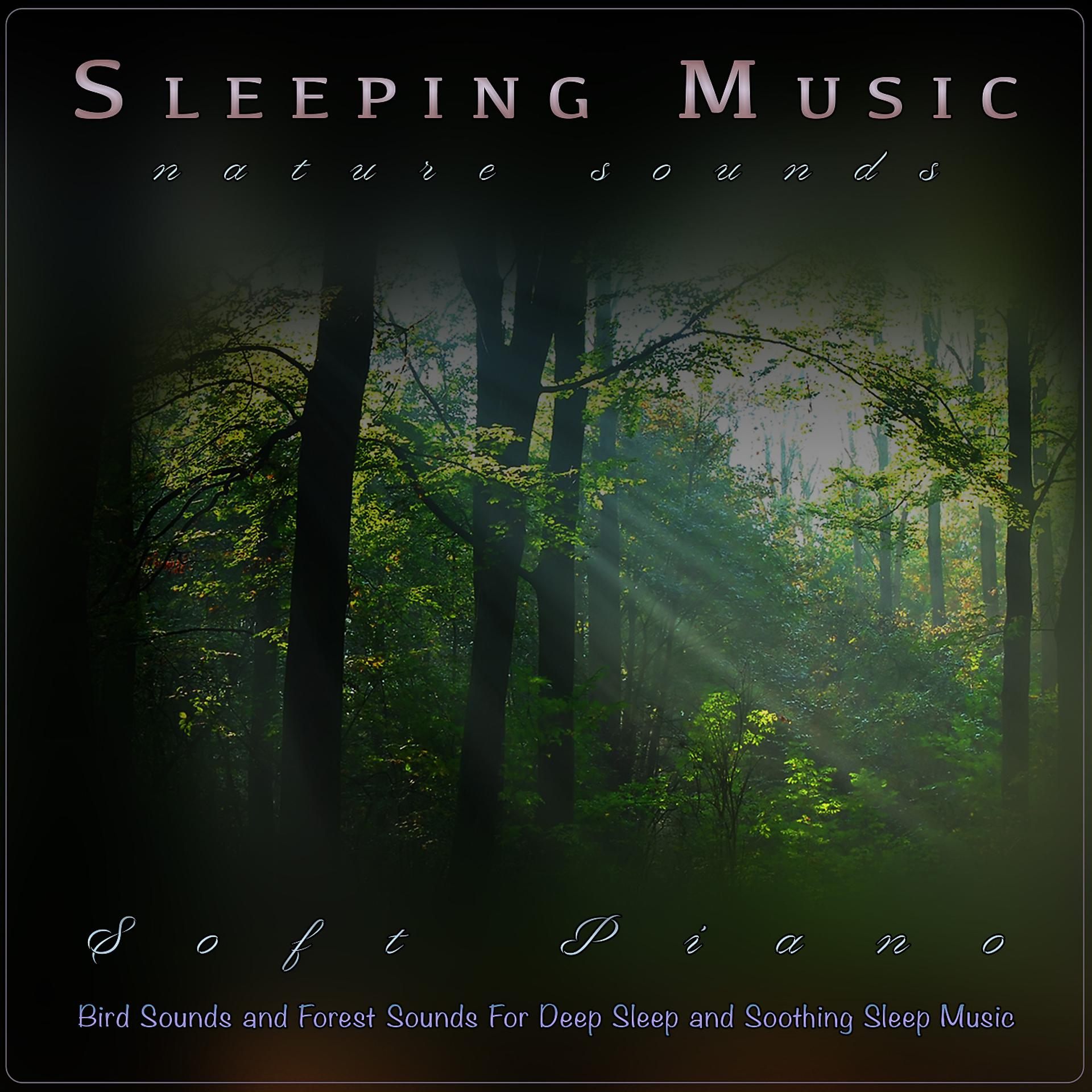 Постер альбома Sleeping Music: Soft Piano and Nature Sounds, Bird Sounds and Forest Sounds For Deep Sleep and Soothing Sleep Music