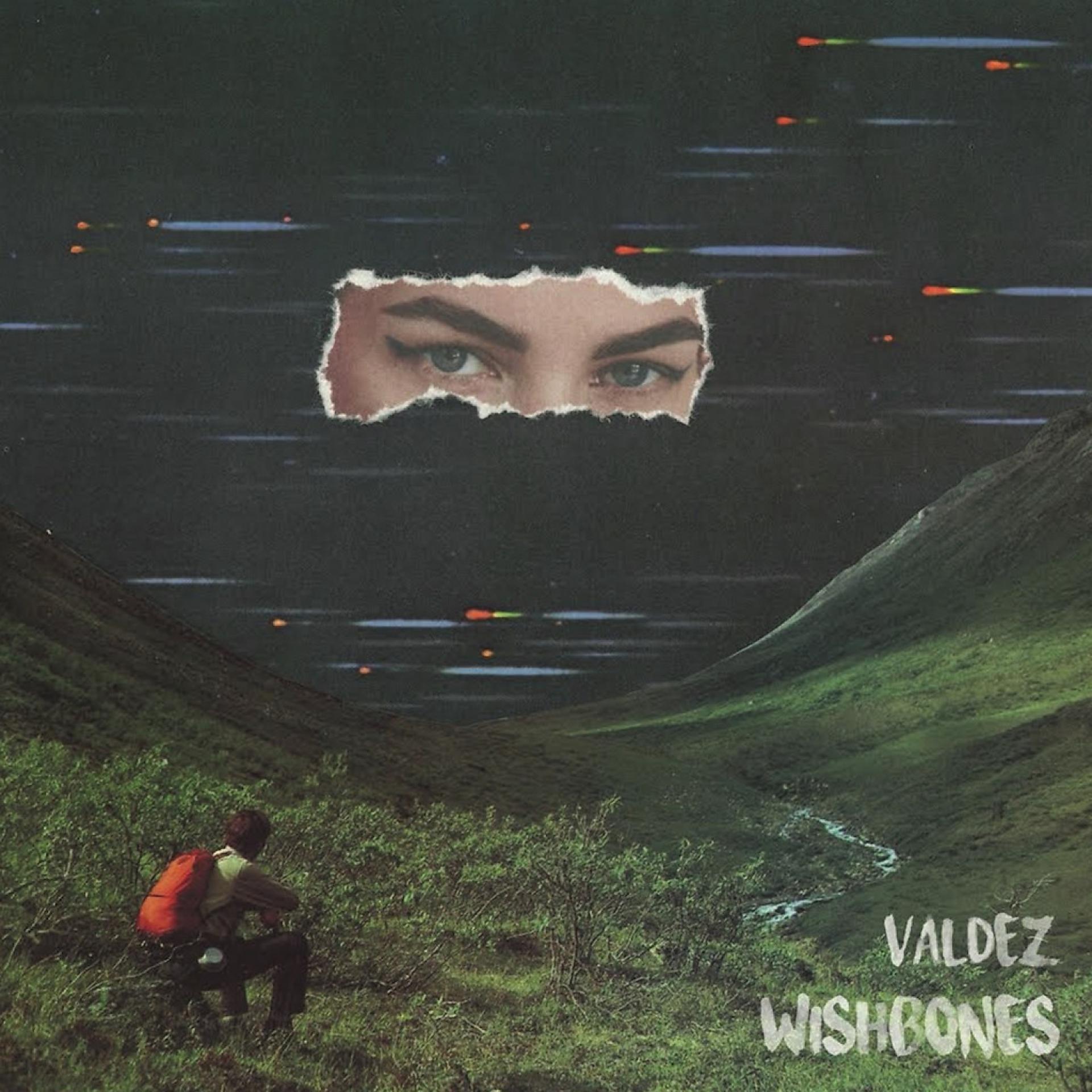 Постер альбома Wishbones