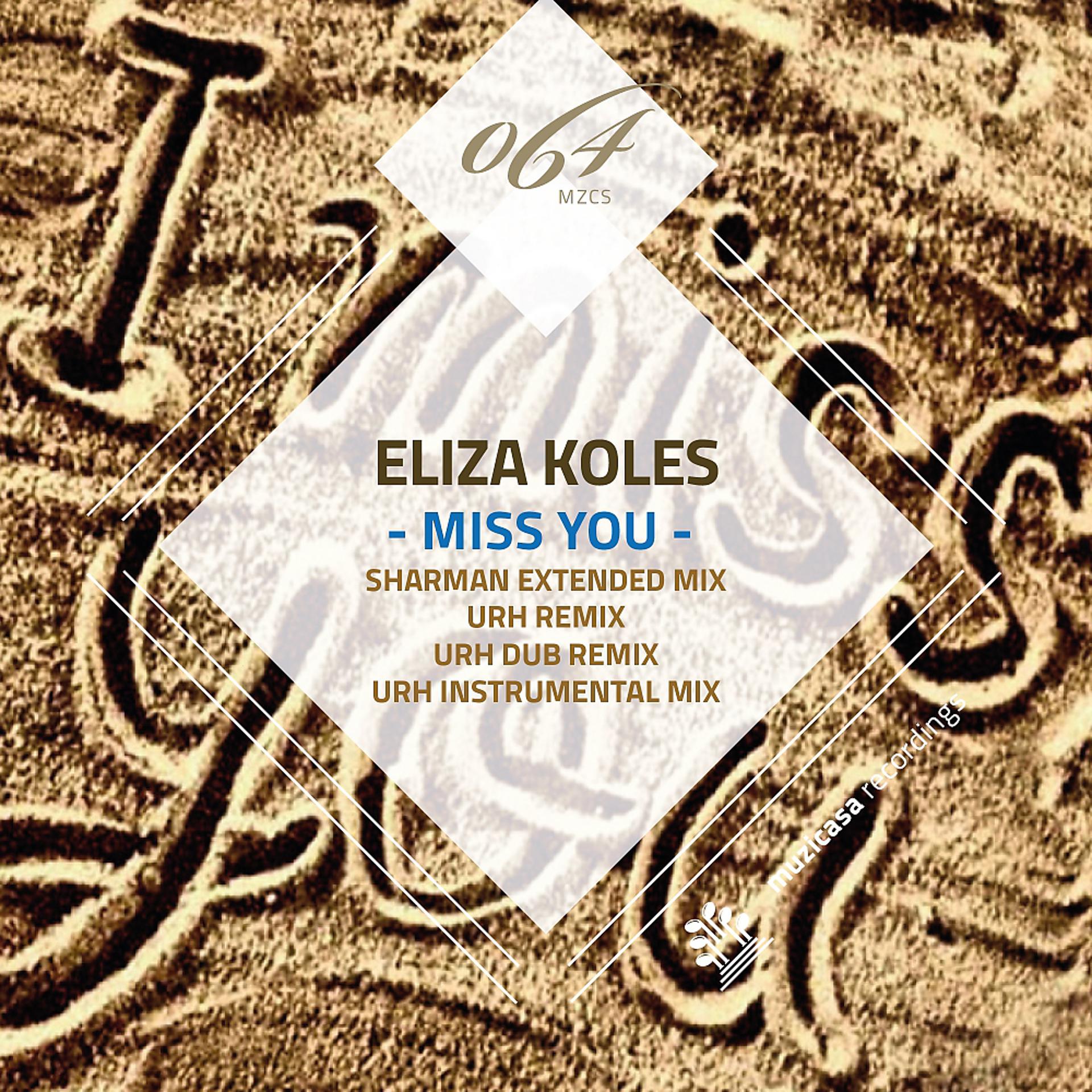 Постер альбома Miss You - The Remixes