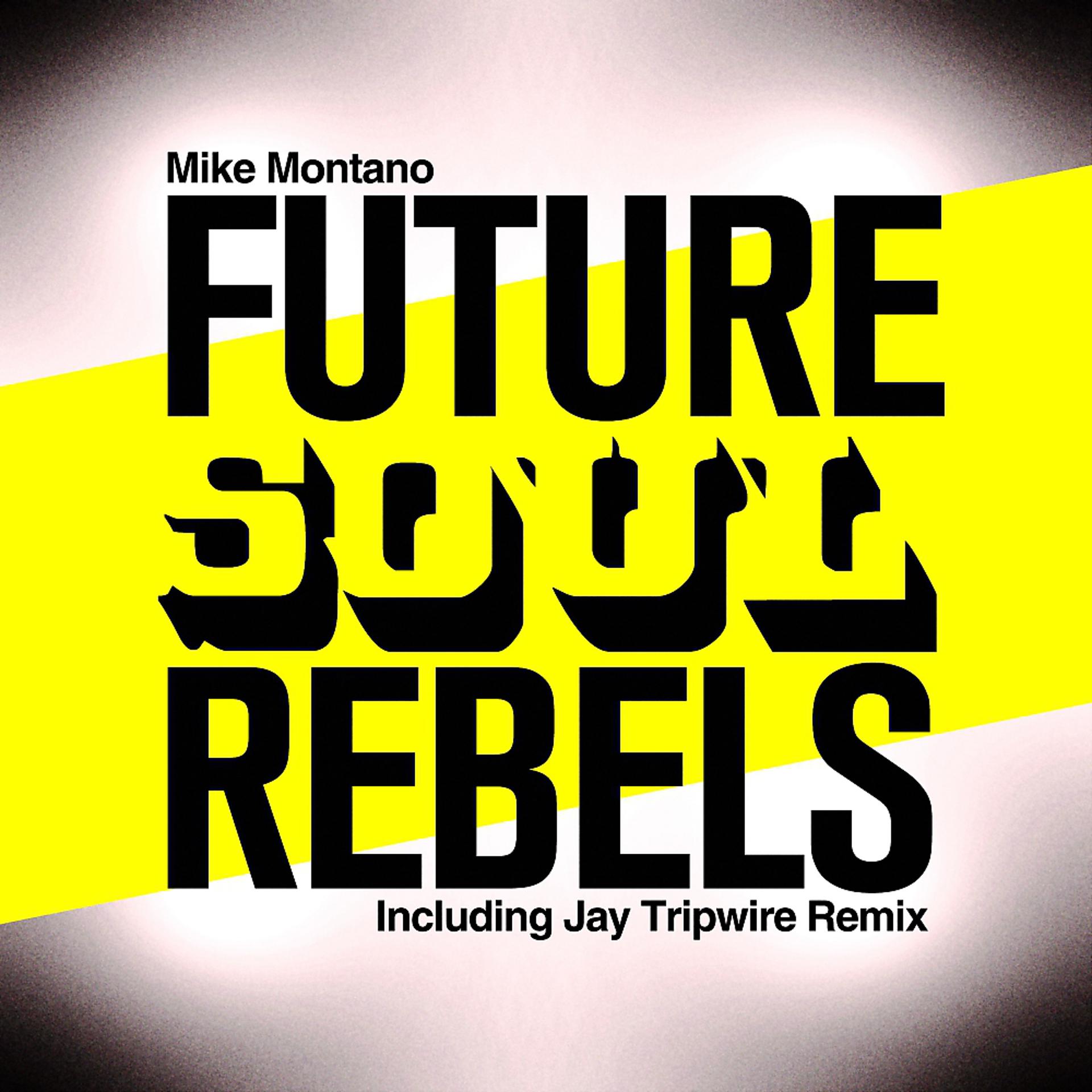 Постер альбома Future Soul Rebels
