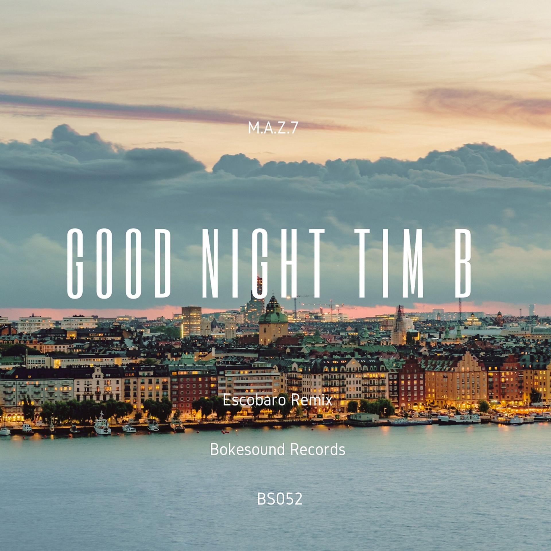 Постер альбома Good Night Tim B