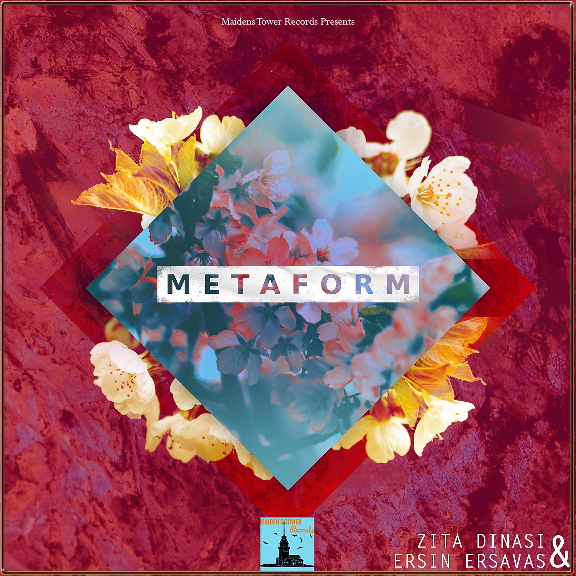 Постер альбома Metaform
