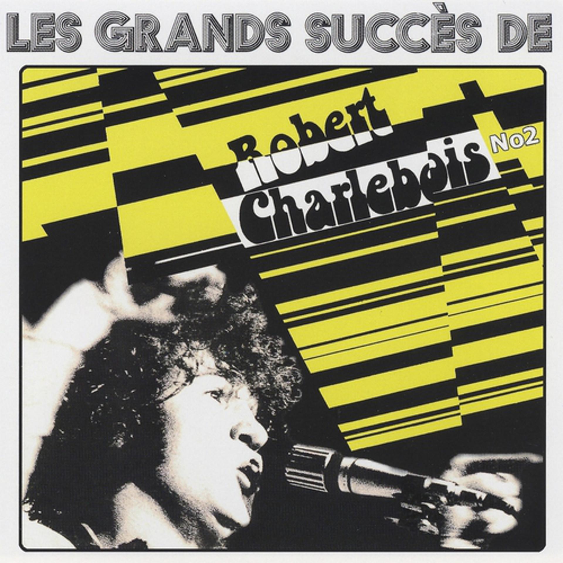 Постер альбома Les grands succès de Robert Charlebois