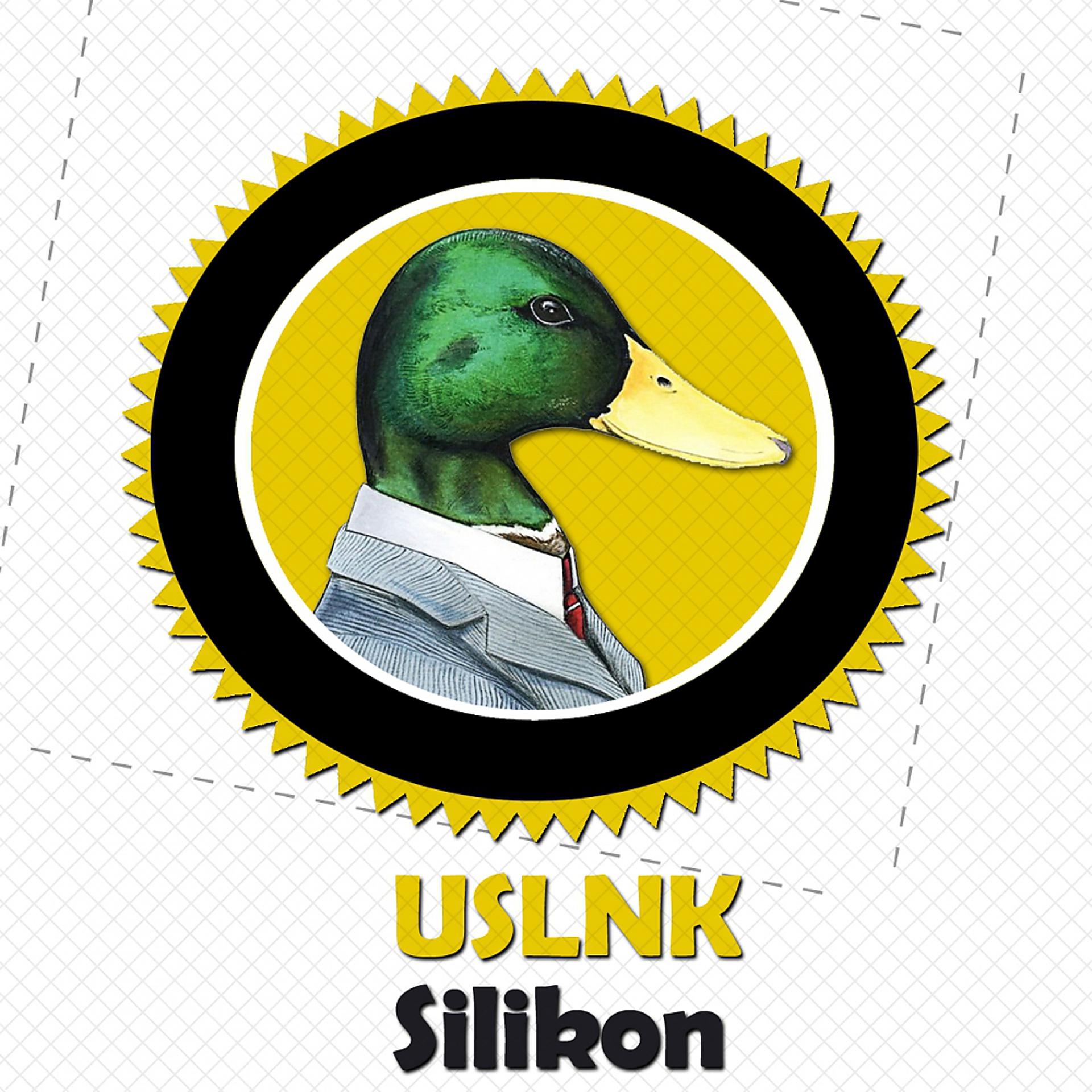 Постер альбома Silikon