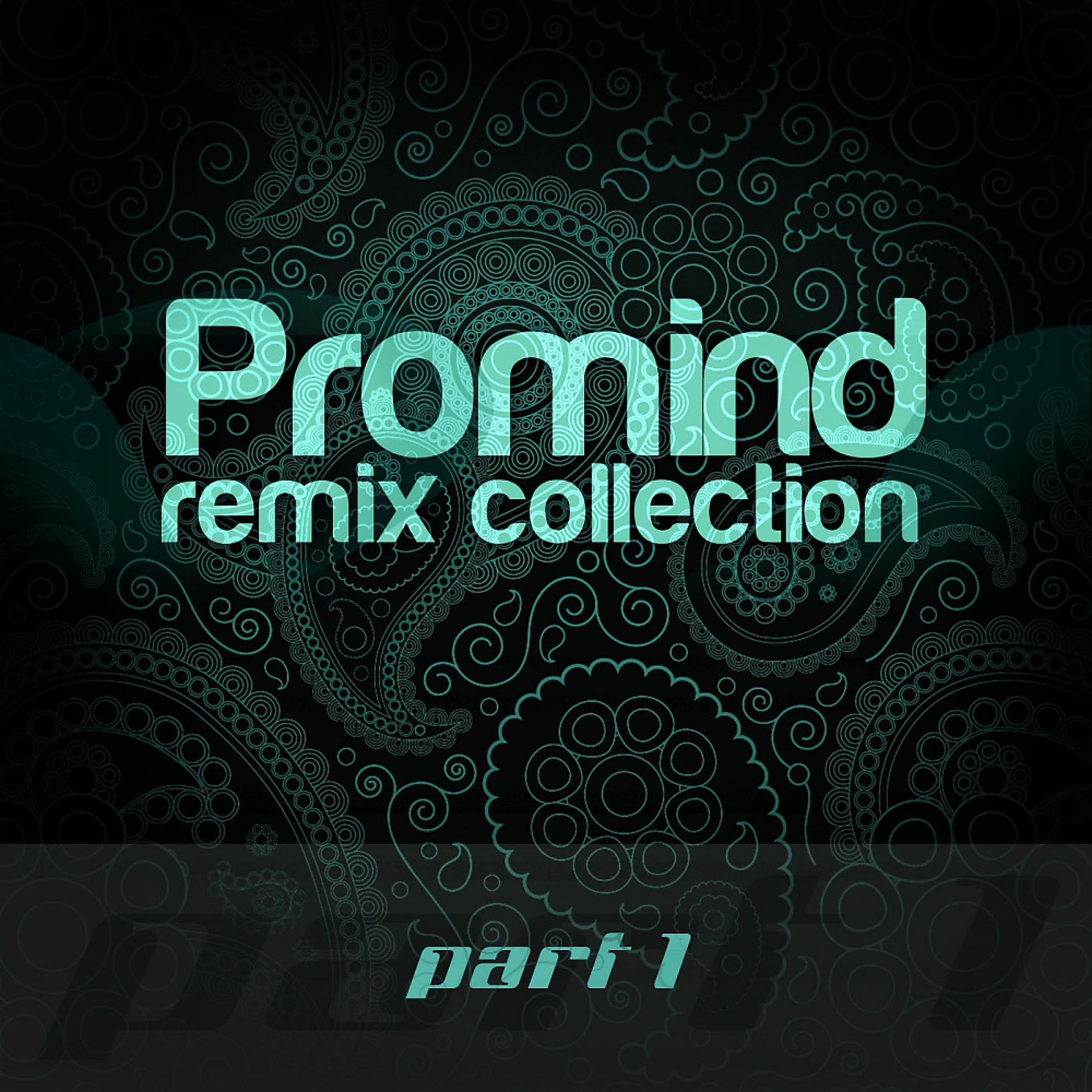 Постер альбома Promind - Remix Collection Part 1