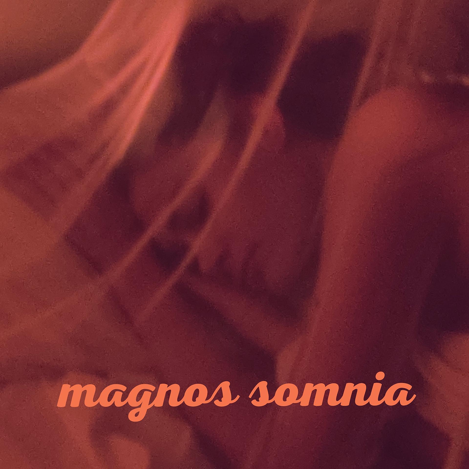 Постер альбома Magnos Somnia