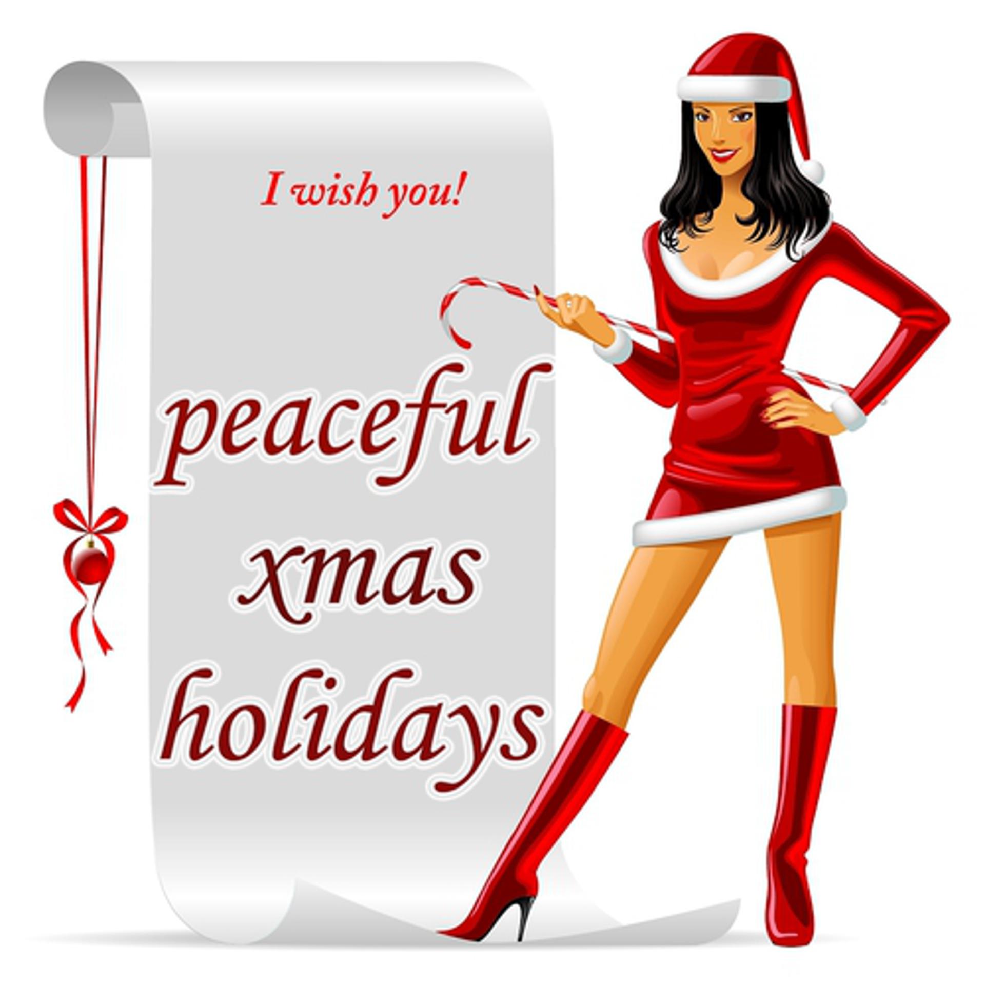 Постер альбома Peaceful Xmas Holidays