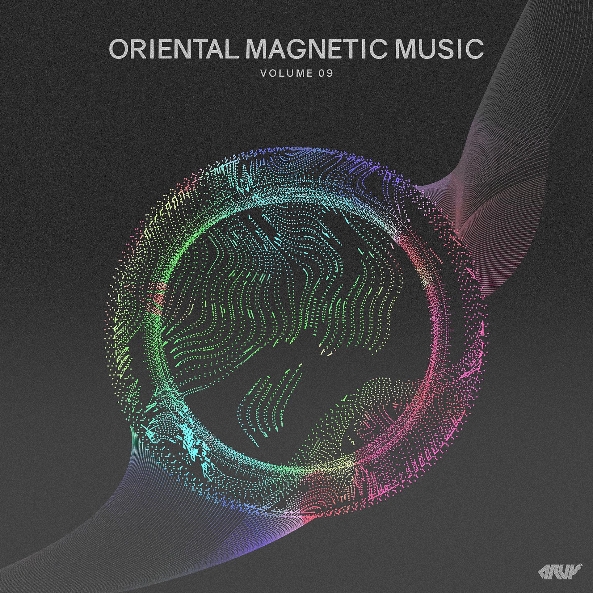 Постер альбома Oriental Magnetic Music, Vol.09