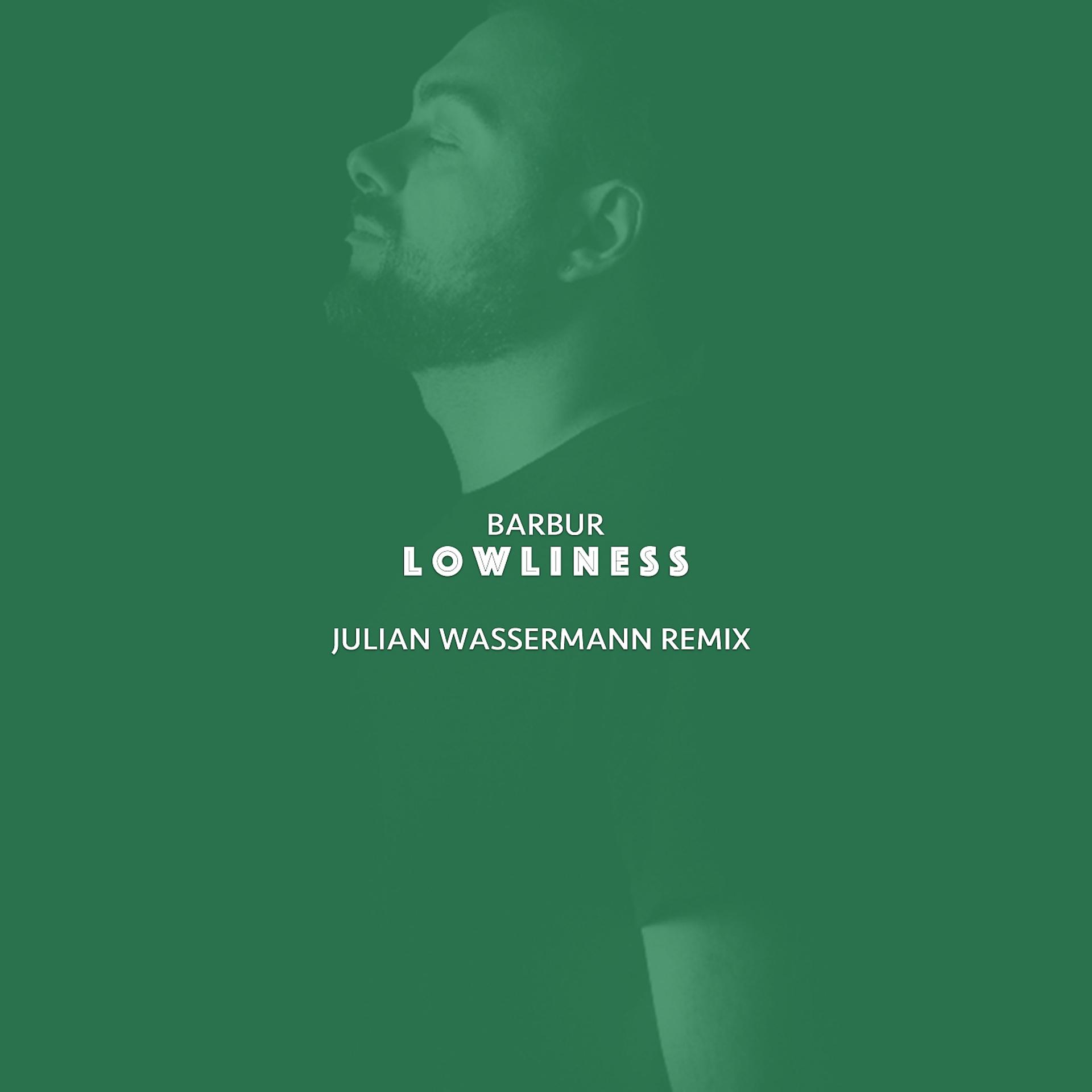 Постер альбома Lowliness (Julian Wassermann Remix)