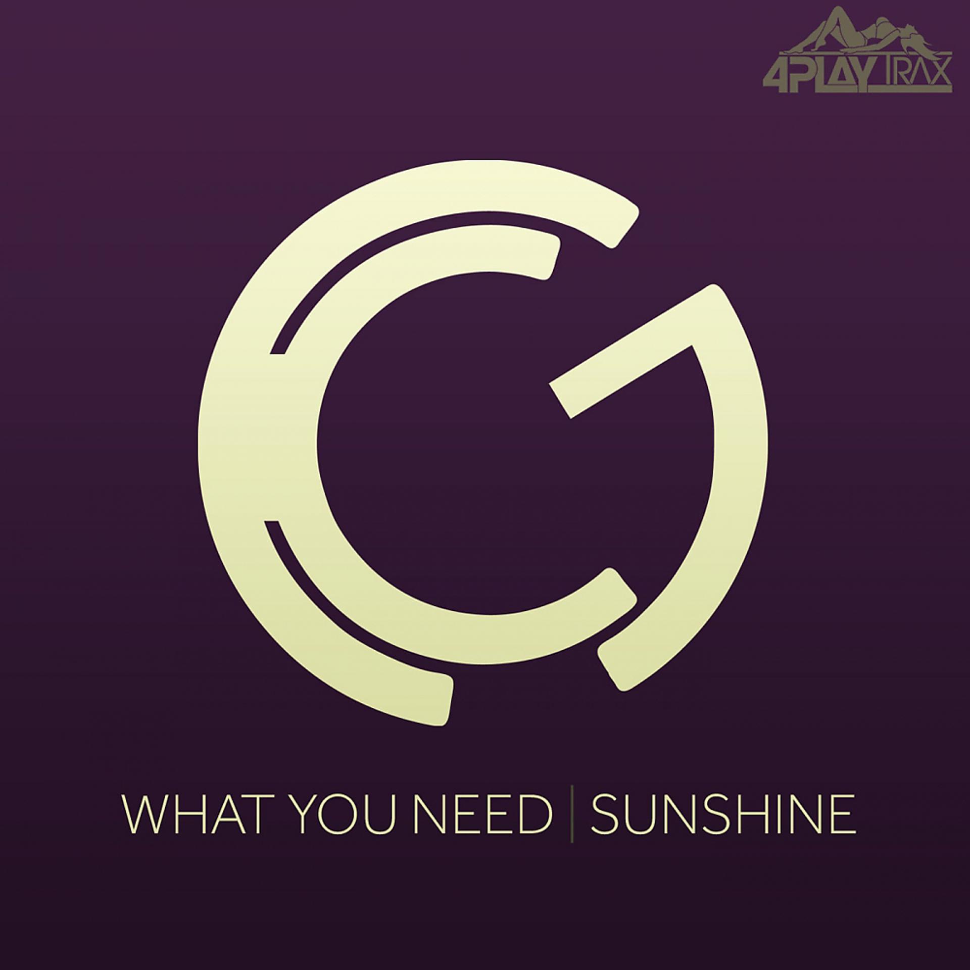 Постер альбома What You Need - Sunshine