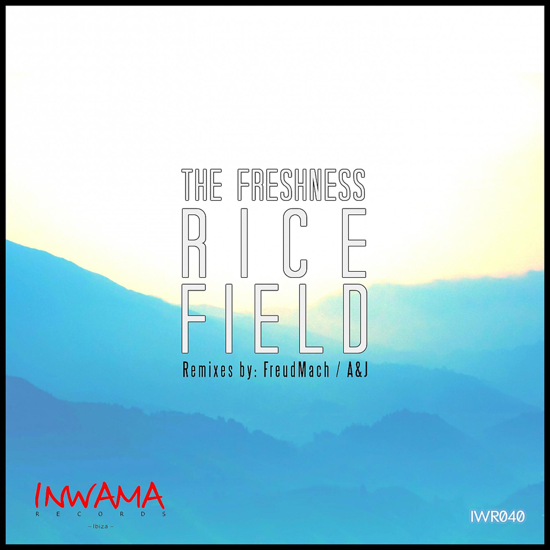 Постер альбома Rice Field