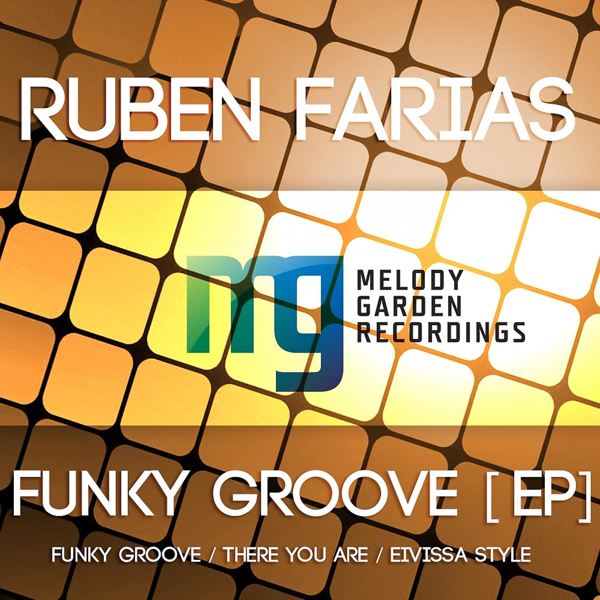 Постер альбома Funky Groove [EP]