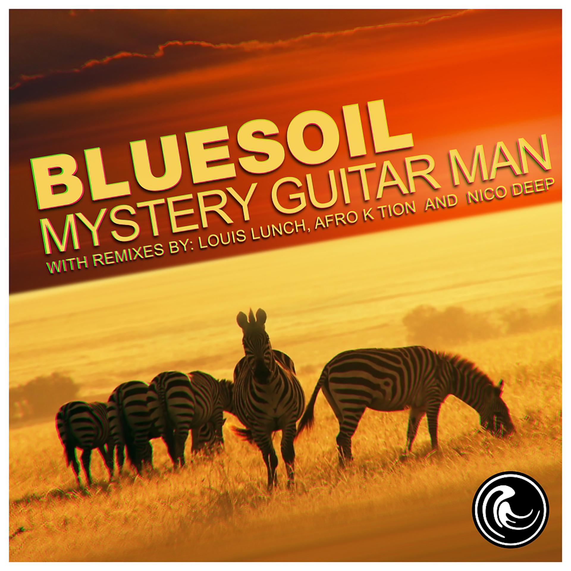 Постер альбома Mystery Guitar Man