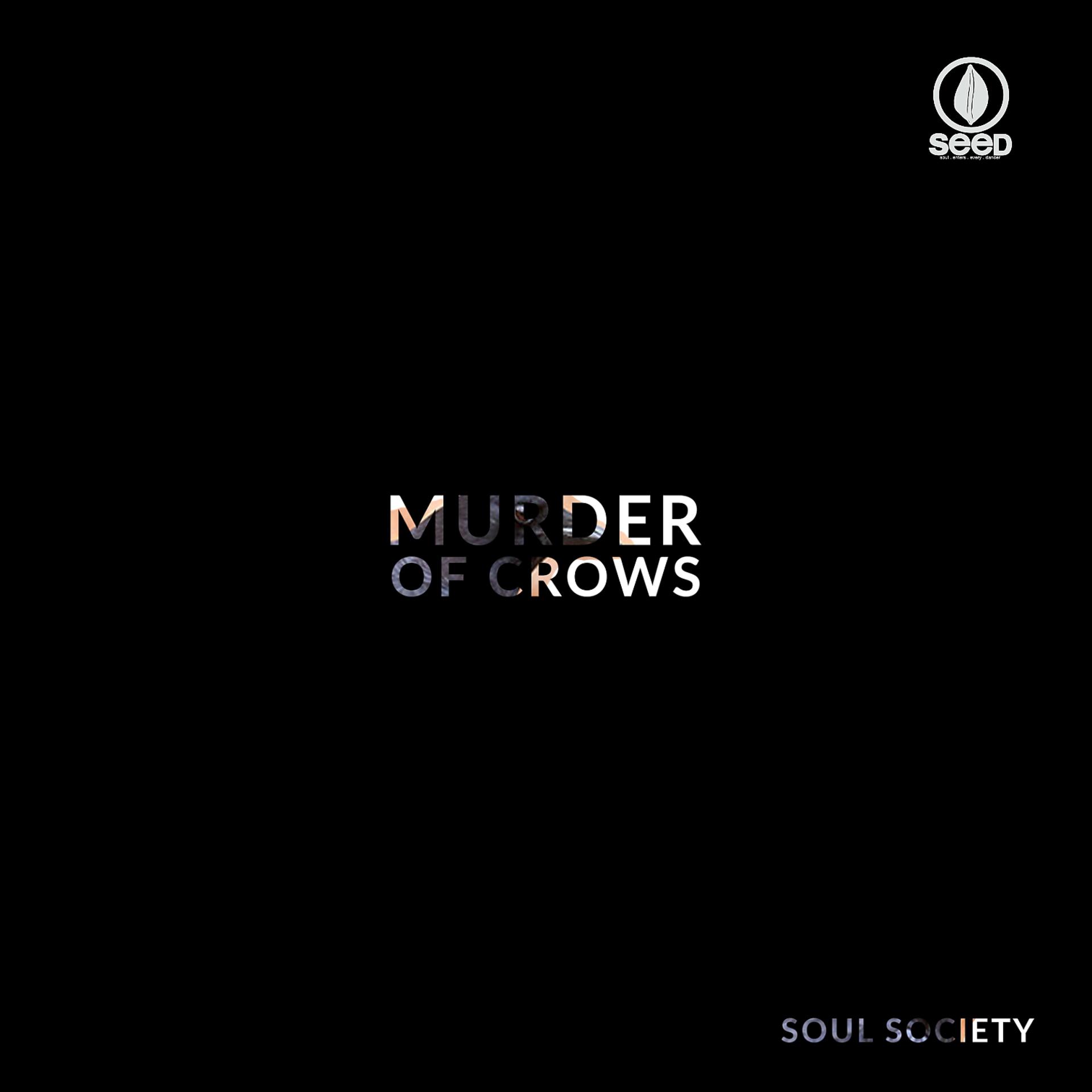 Постер альбома Murder of Crows