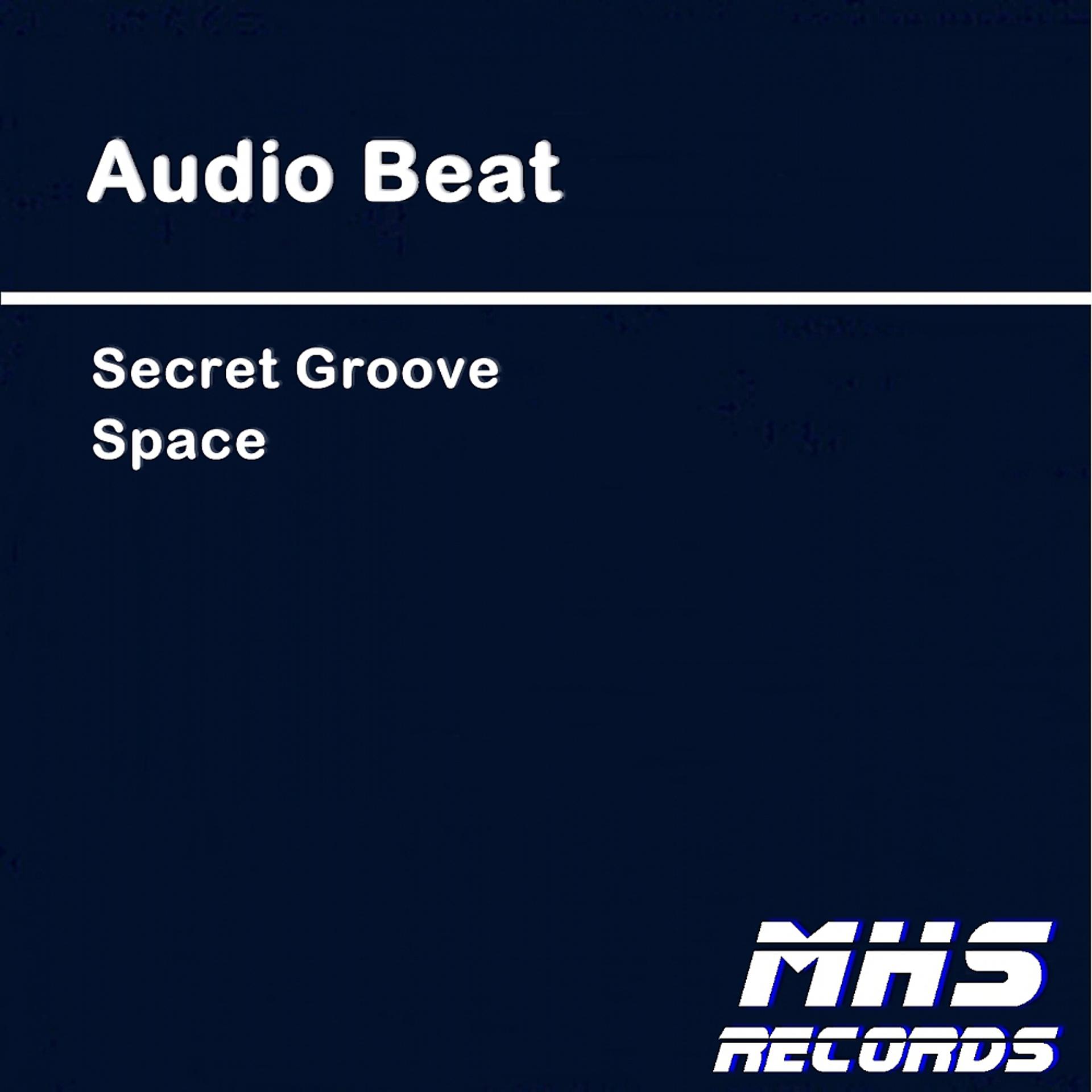Постер альбома Secret Groove / Space