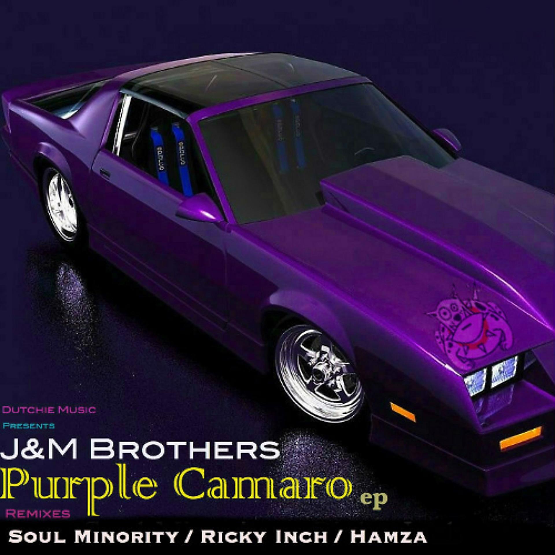 Постер альбома Purple Camaro