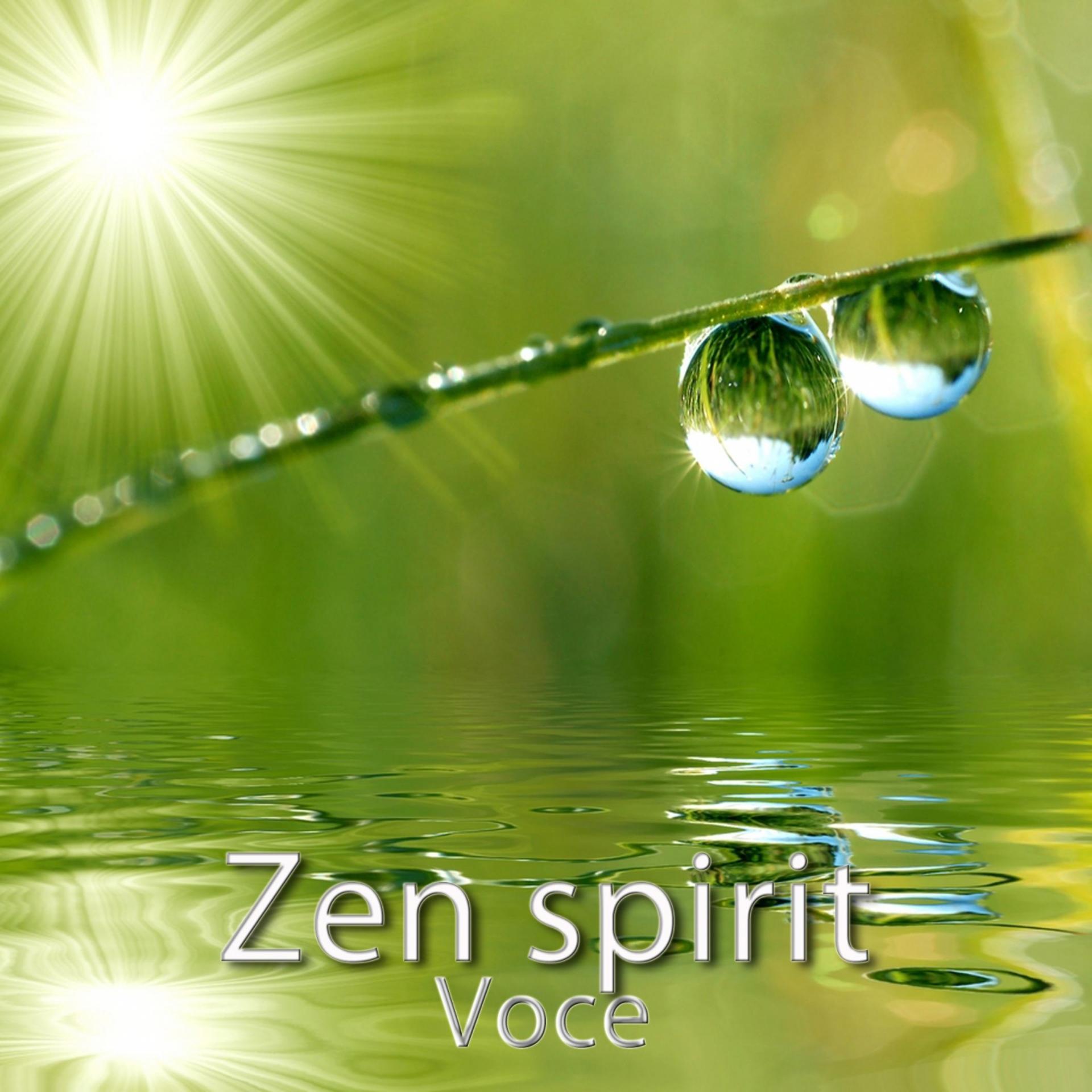 Постер альбома Zen Spirit: Voce