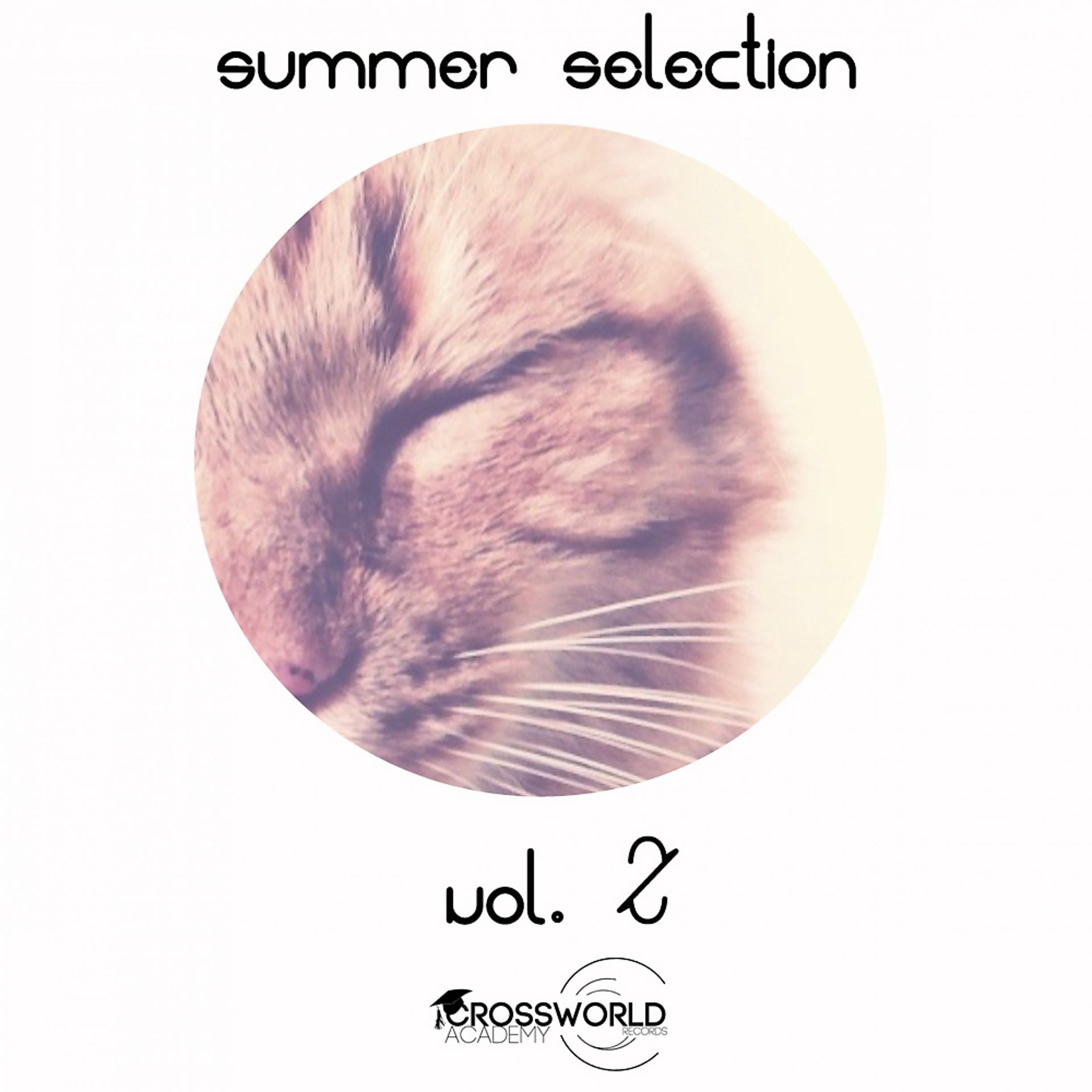Постер альбома Summer Selection Vol. 2