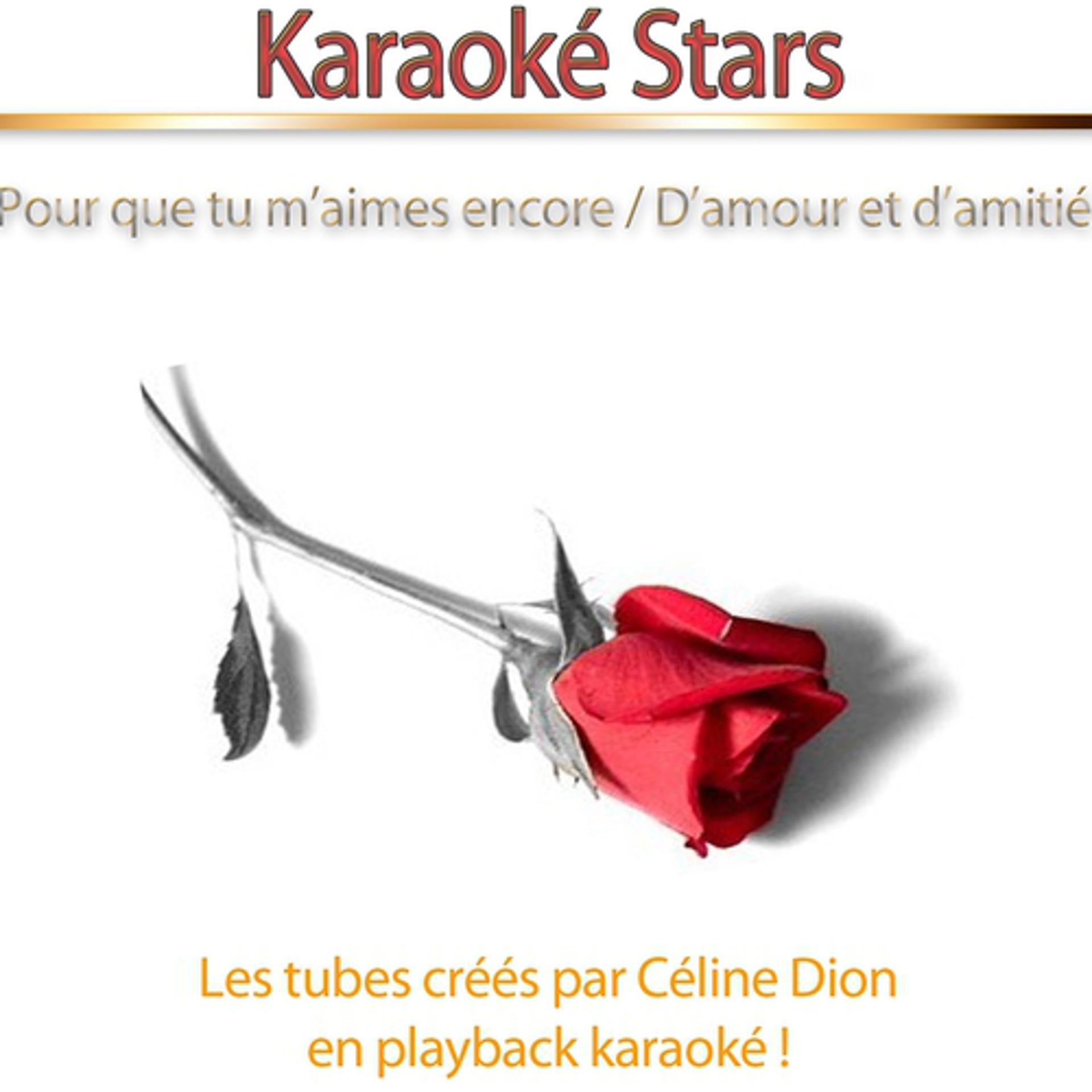 Постер альбома Karaoké Stars : Les tubes créés par Céline Dion