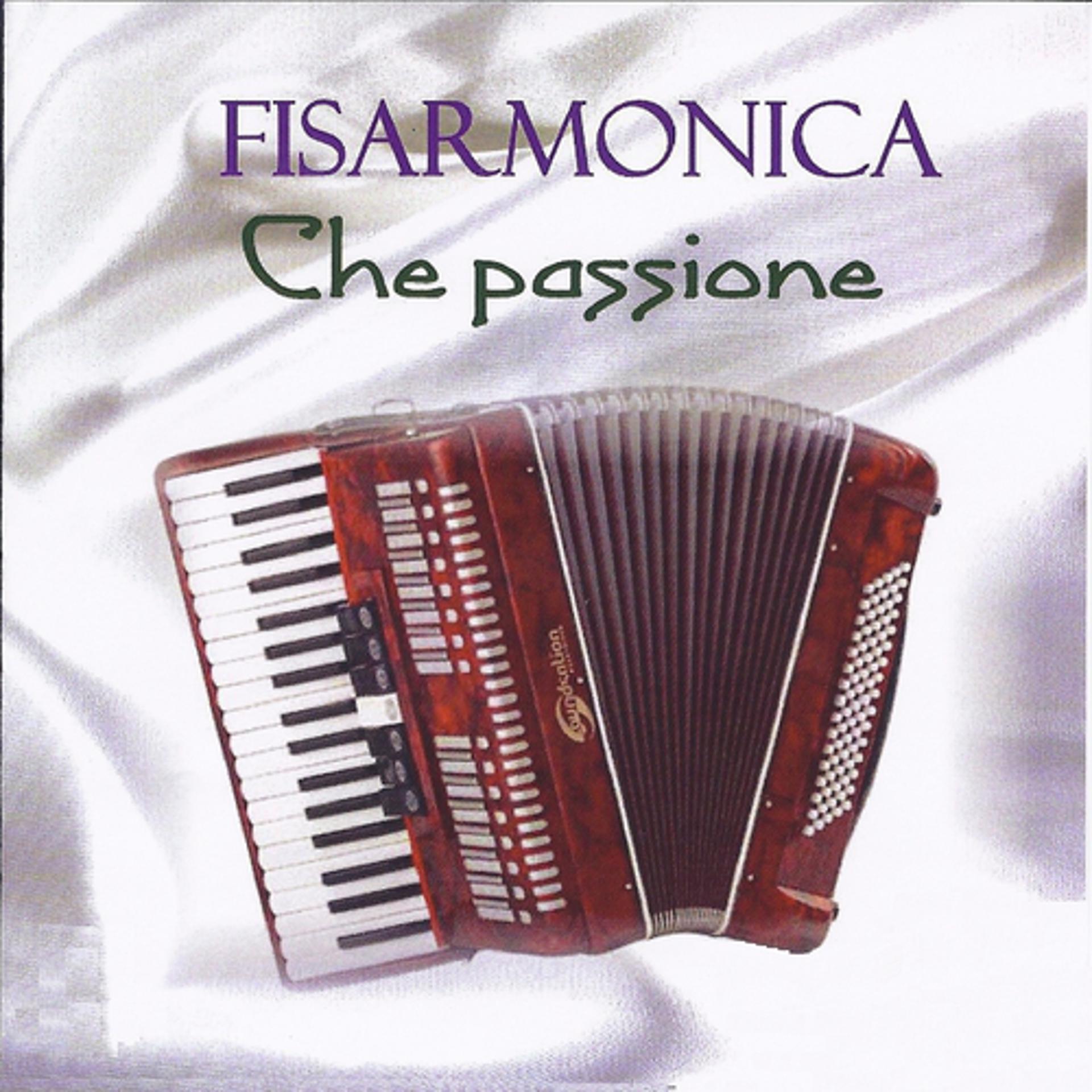 Постер альбома Fisarmonica che passione