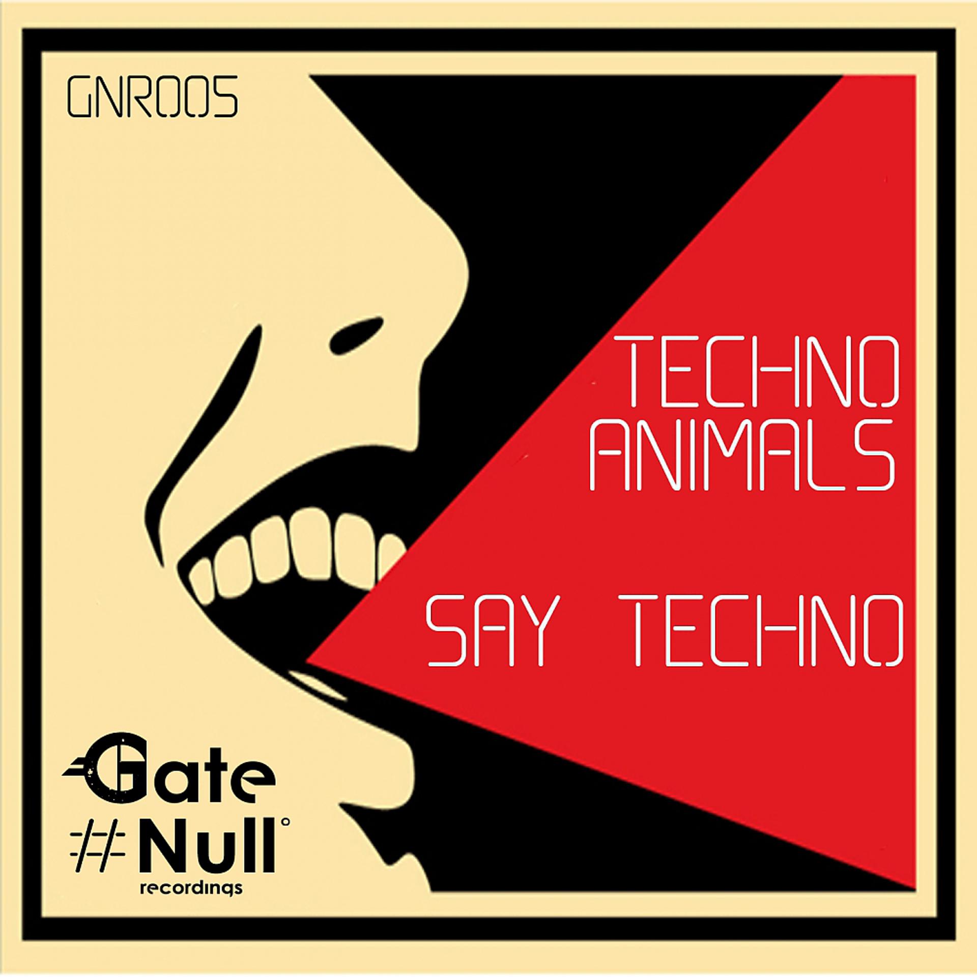 Постер альбома Say Techno