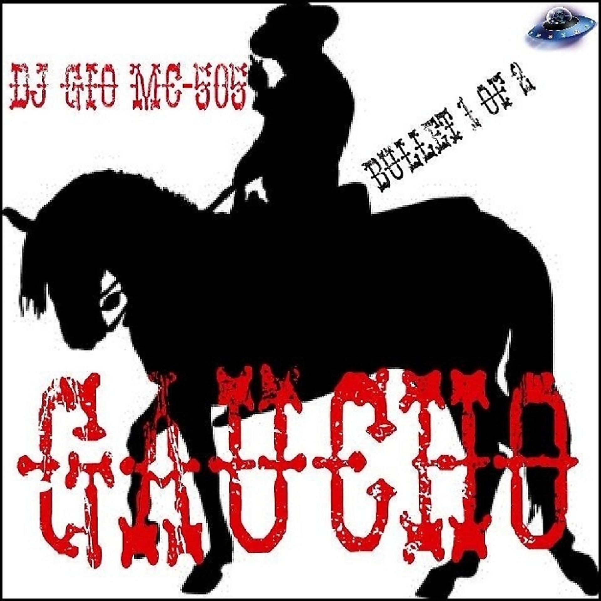 Постер альбома Gaucho (Bullet 1 of 2)