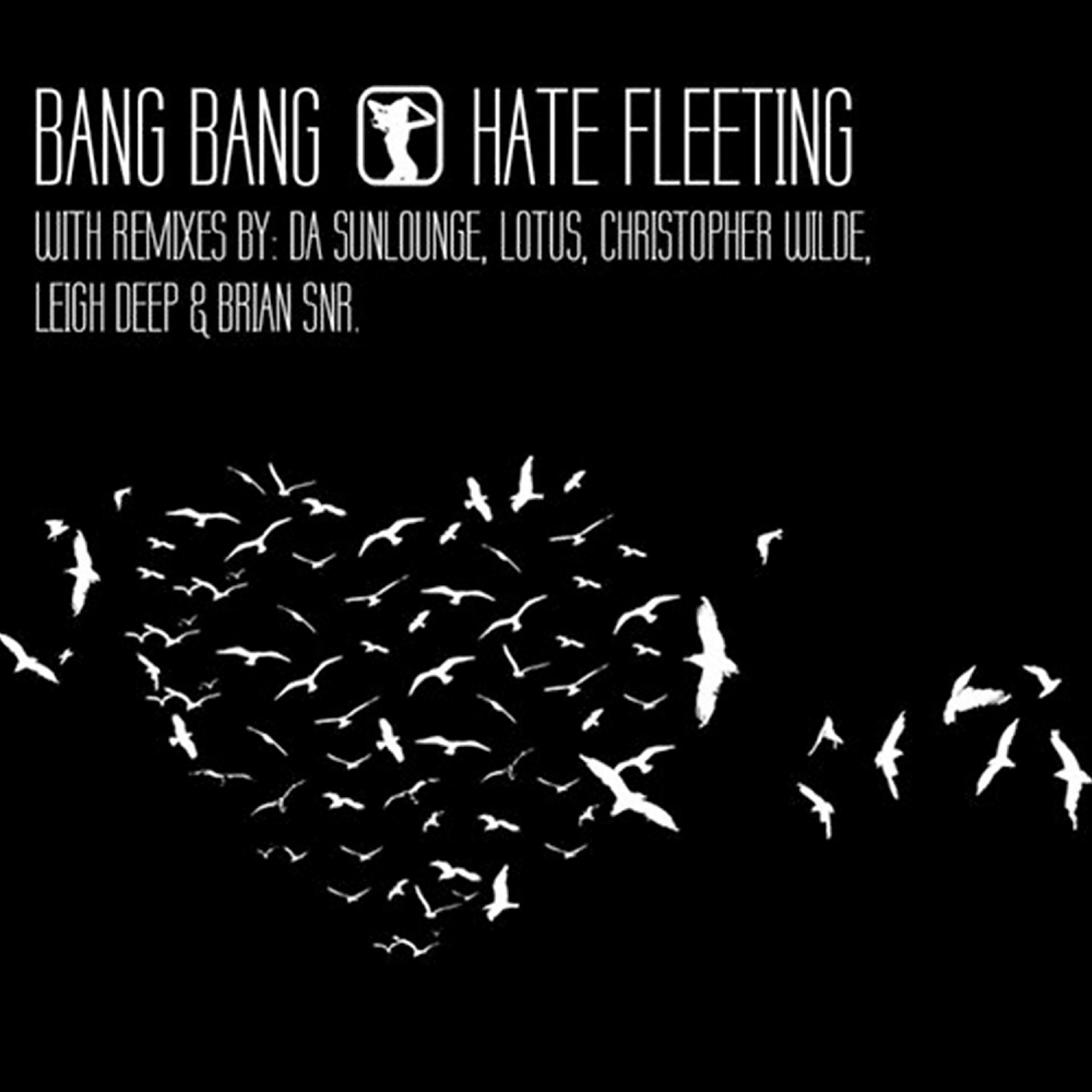 Постер альбома Hate Fleeting