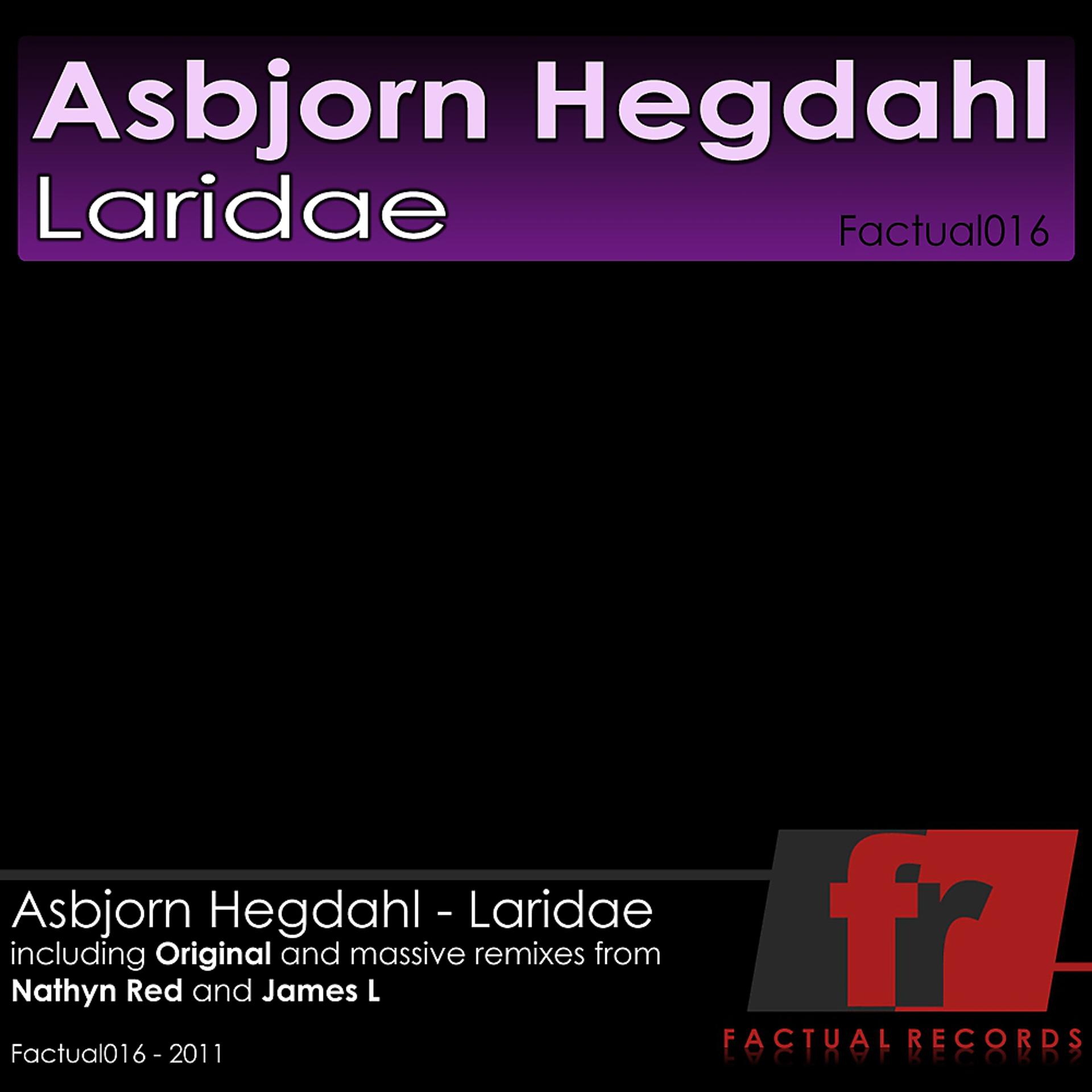 Постер альбома Laridae