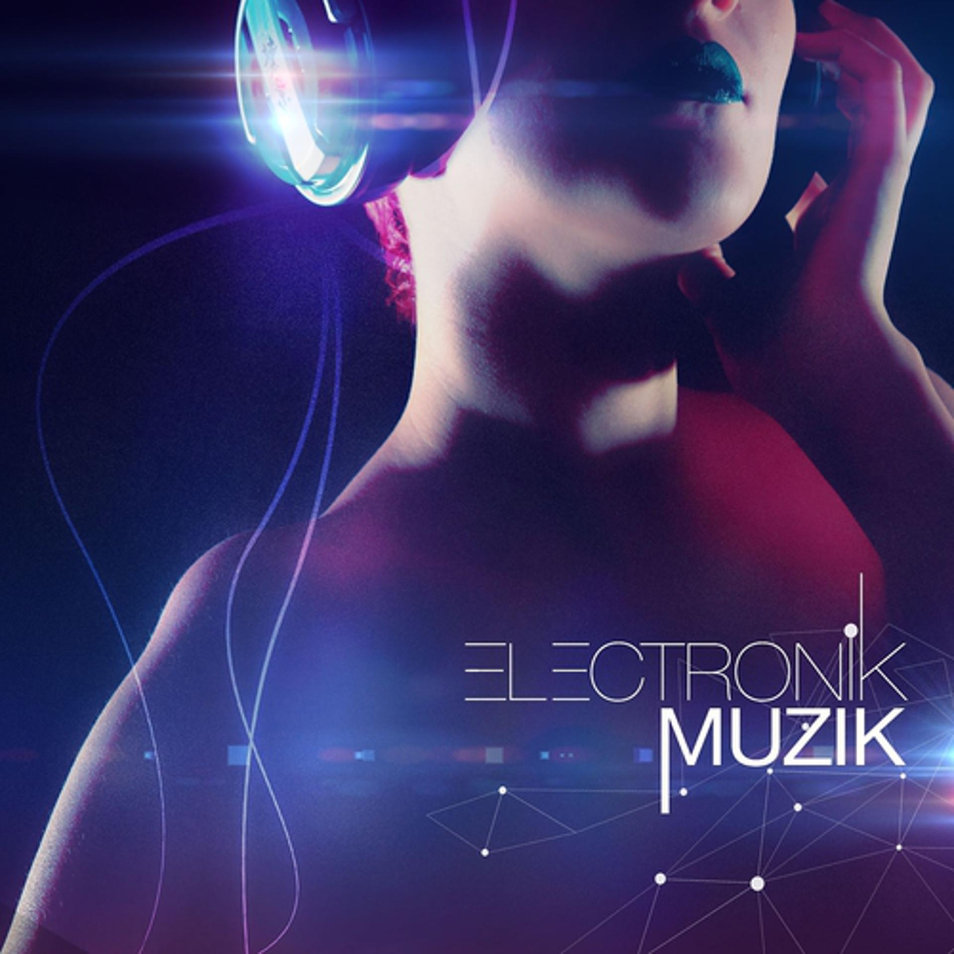 Постер альбома Electronik Muzik!