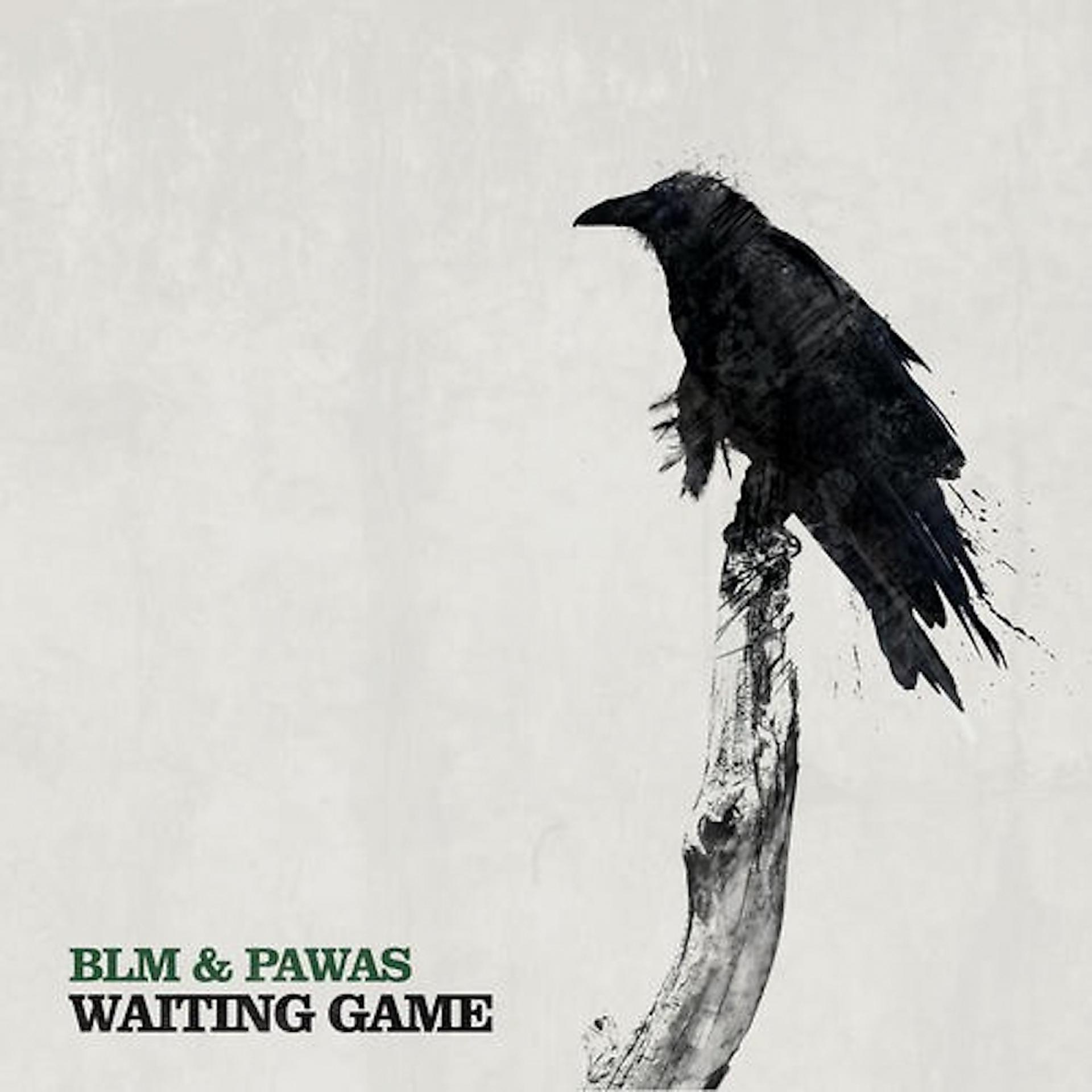 Постер альбома Waiting Game