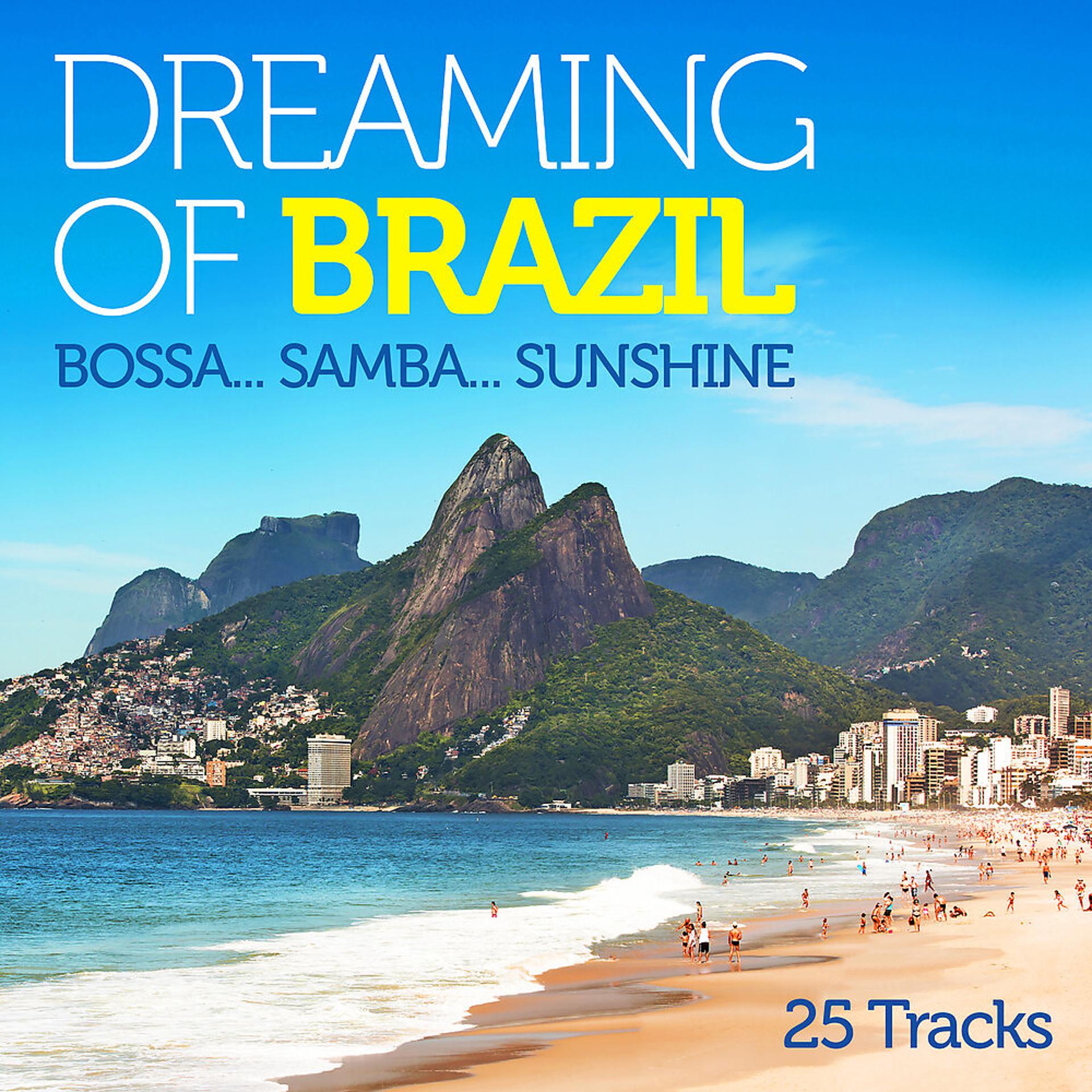 Постер альбома Dreaming of Brazil: Bossa..Samba..Sunshine