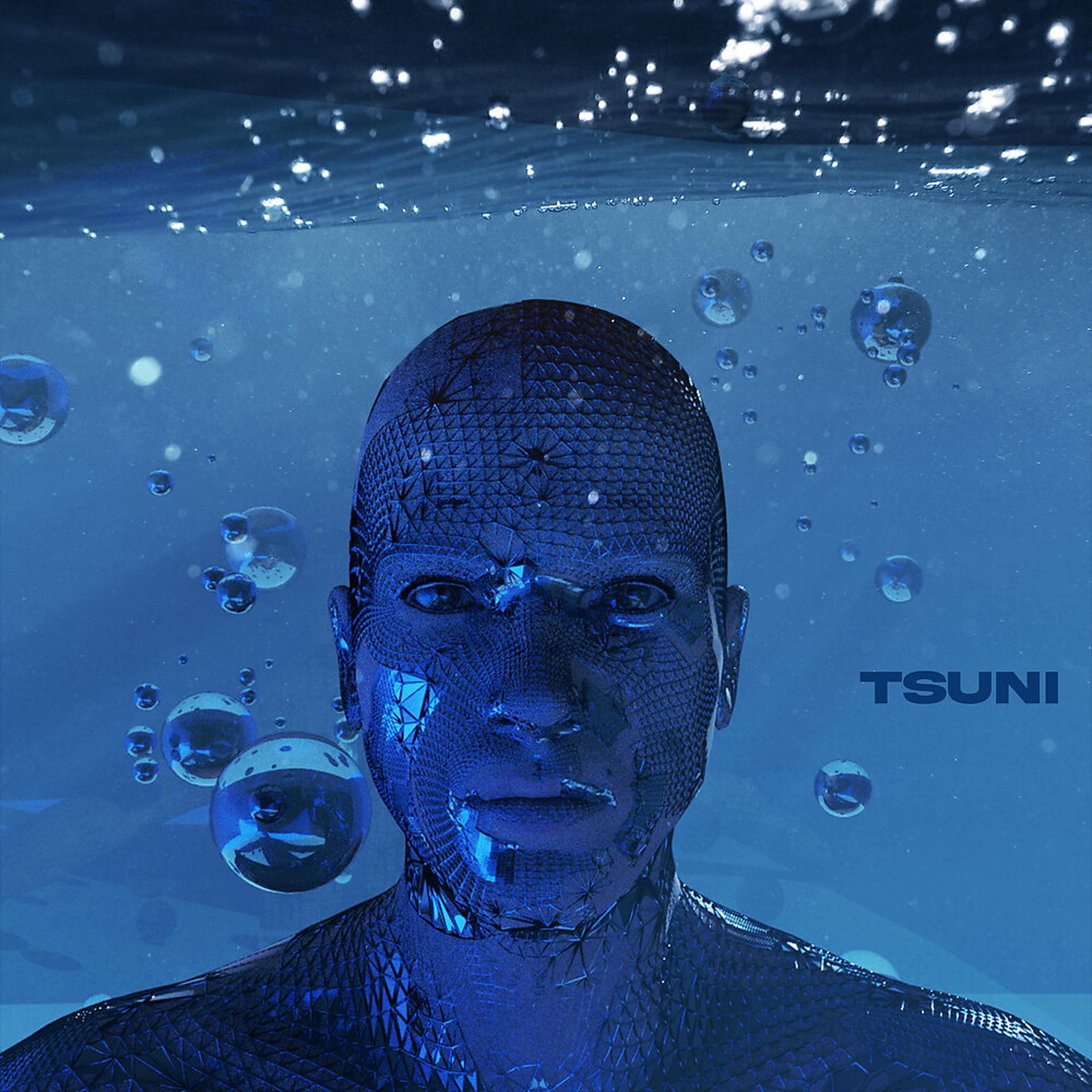 Постер альбома Tsuni