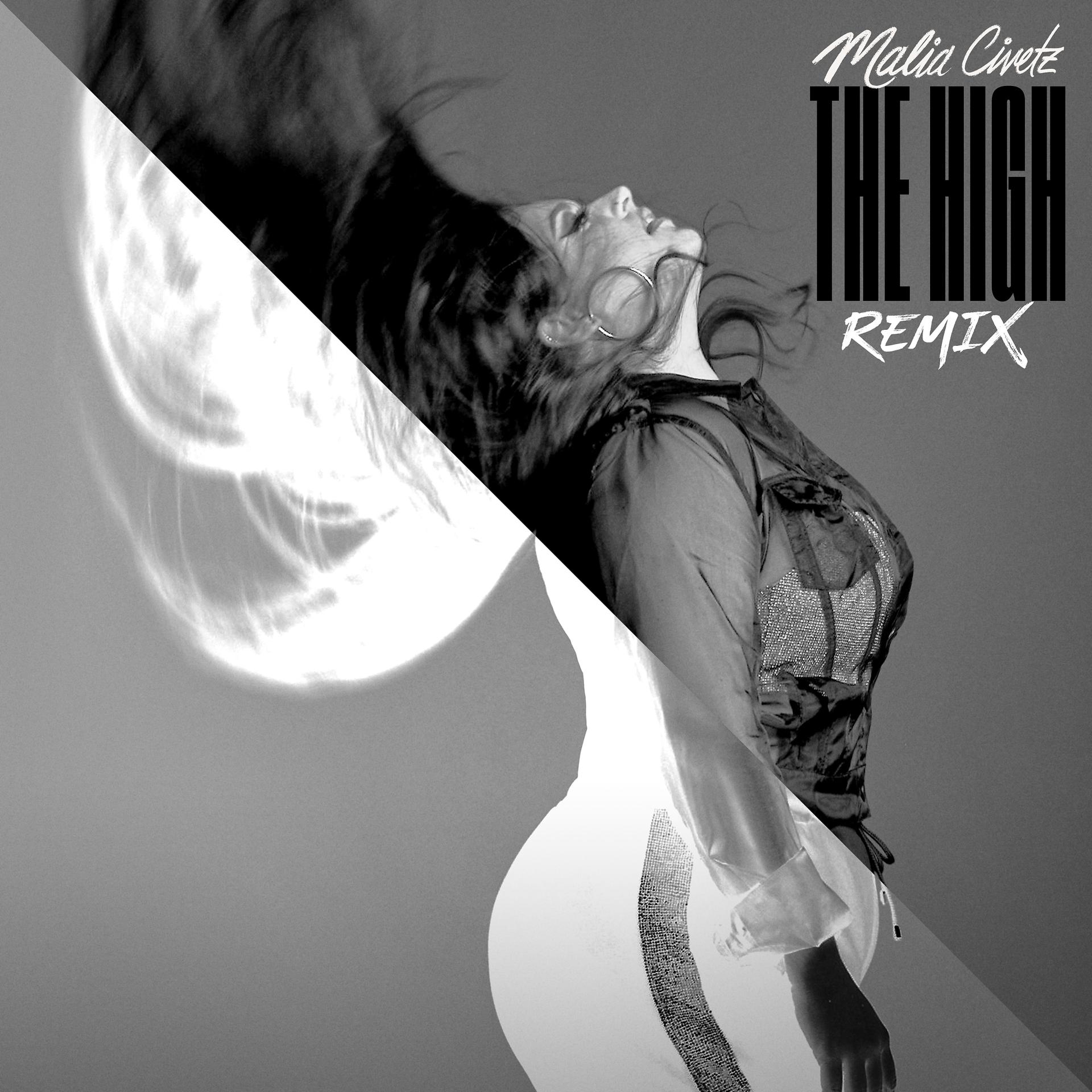 Постер альбома The High (Remix)