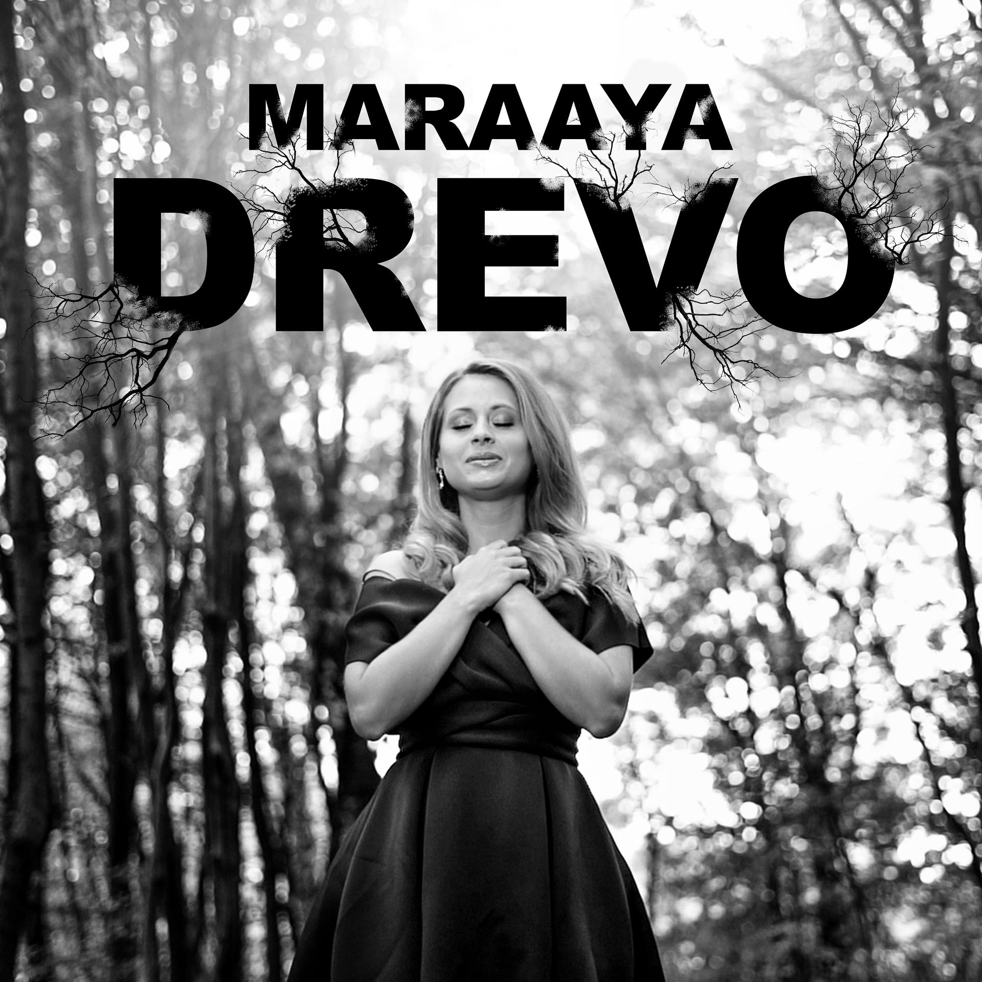 Постер альбома Drevo