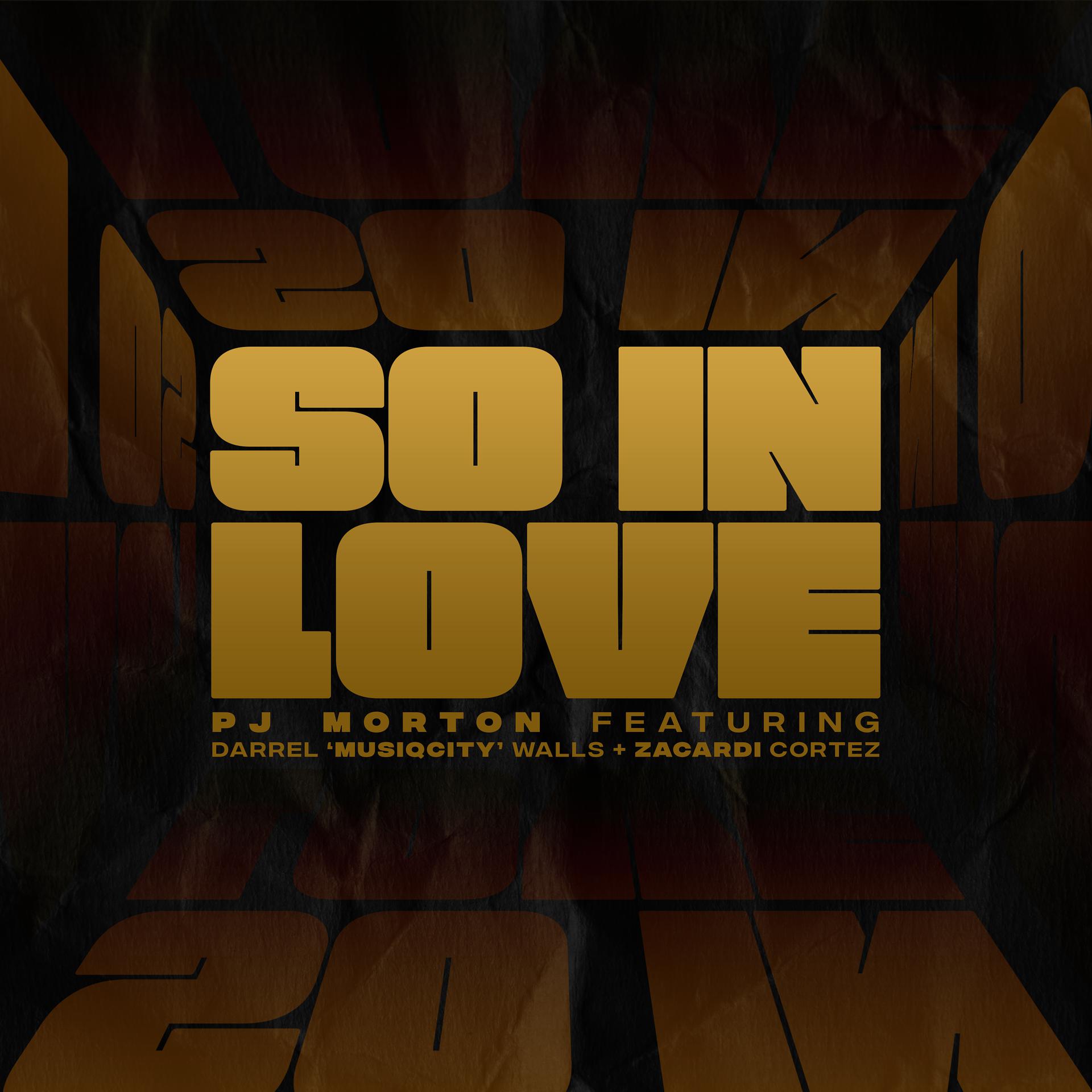 Постер альбома So In Love (feat. Darrel 'MusiqCity' Walls & Zacardi Cortez)