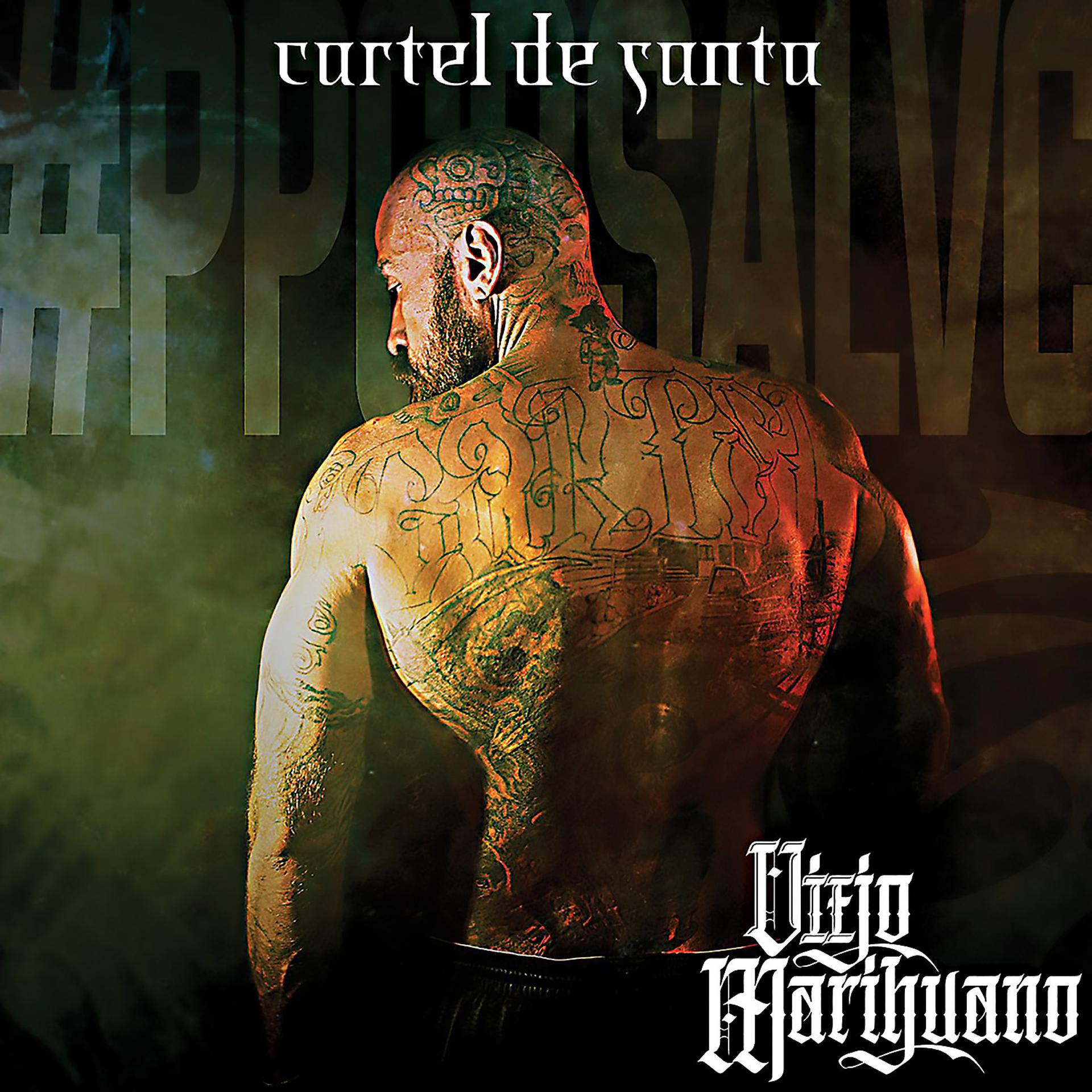 Постер альбома Viejo Marihuano