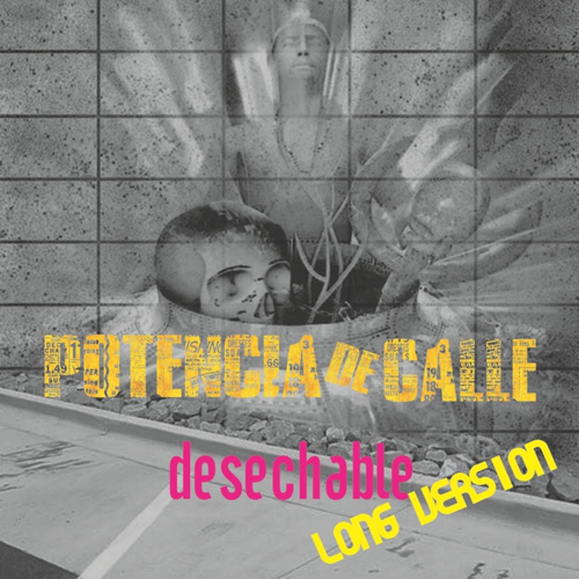 Постер альбома Desechable