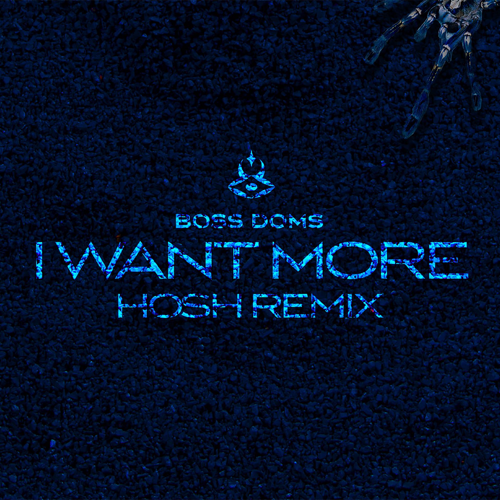 Постер альбома I Want More (feat. Kyle Pearce) [HOSH Remix]