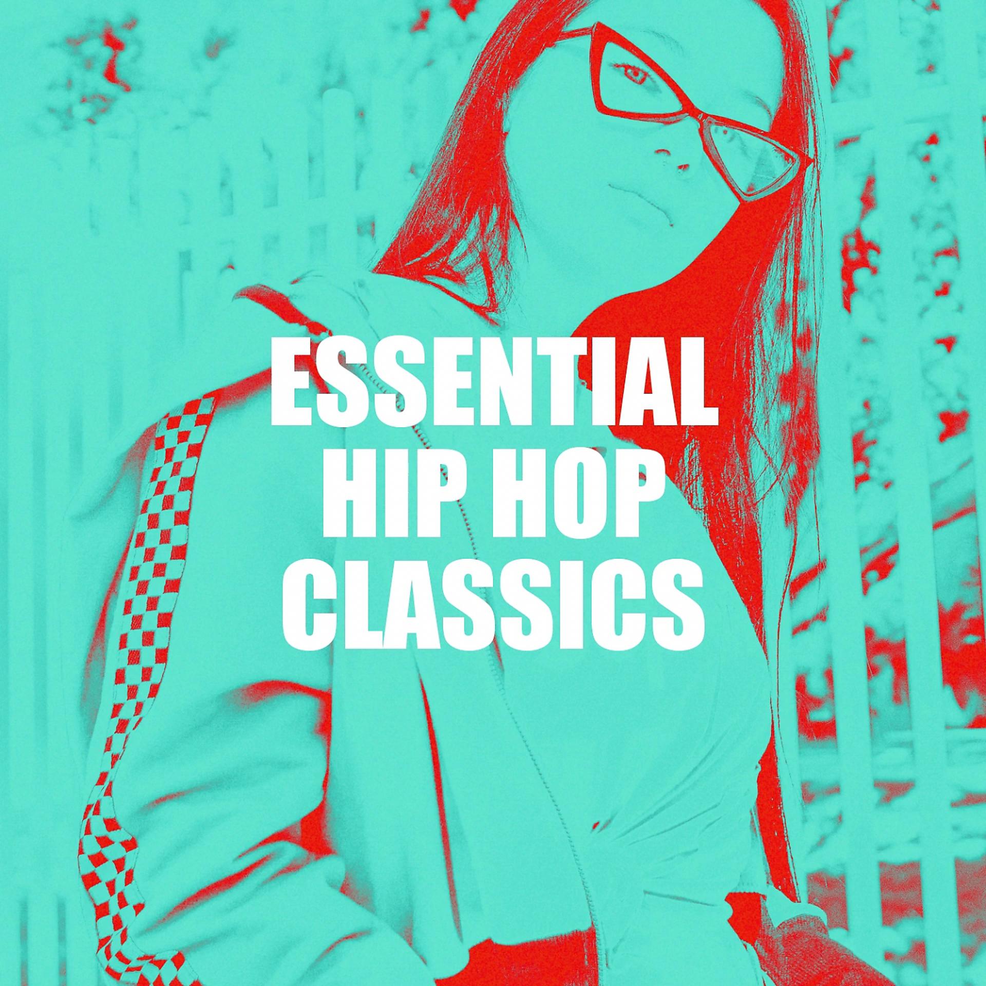 Постер альбома Essential Hip Hop Classics