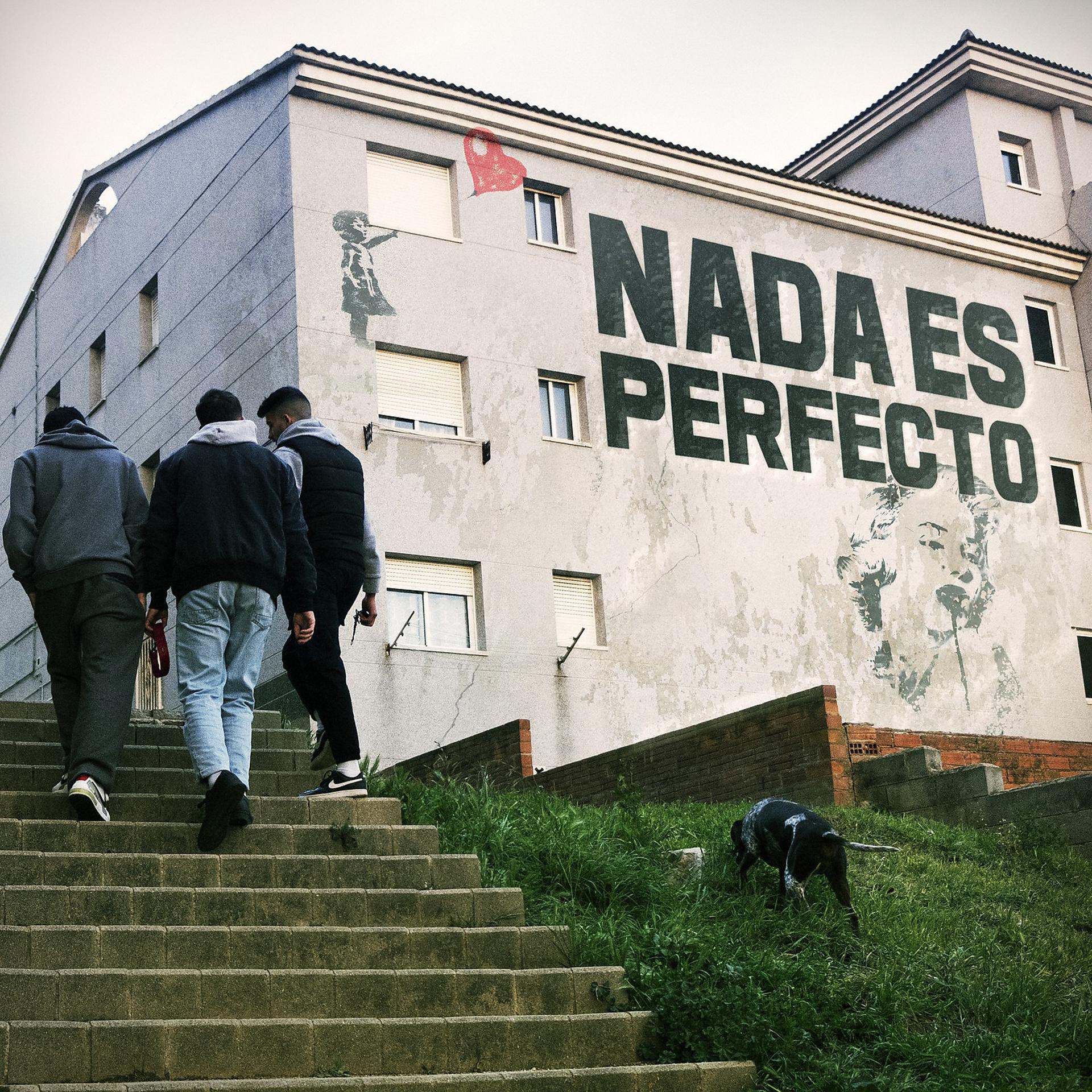 Постер альбома Nada es perfecto