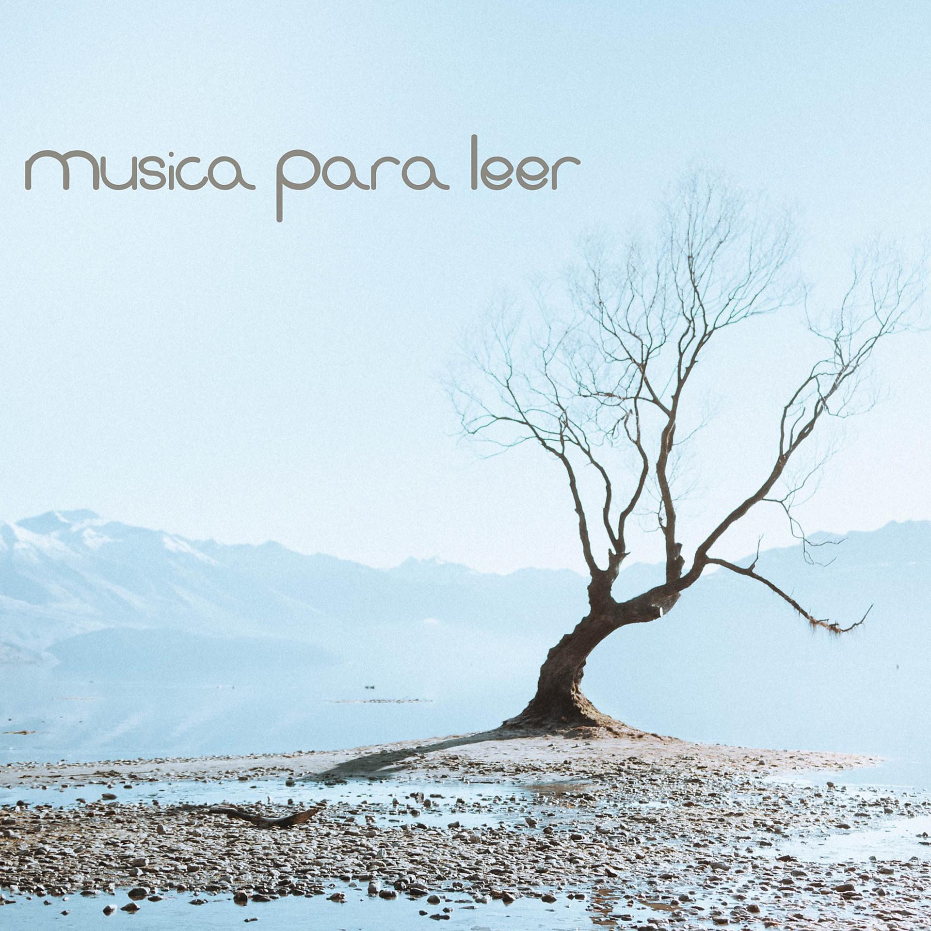 Постер альбома Musica para Leer