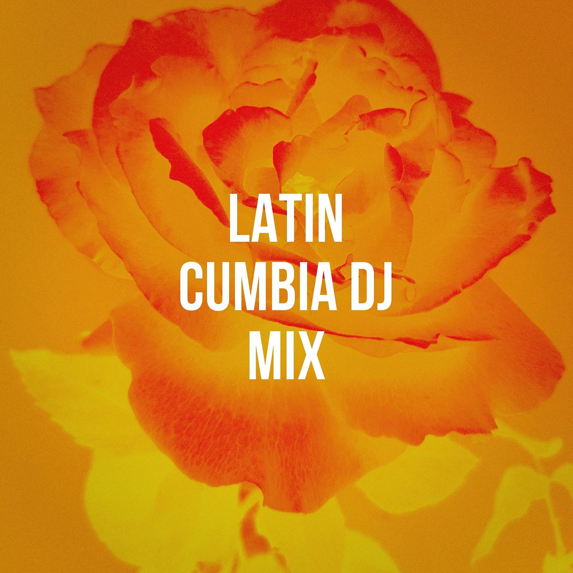 Постер альбома Latin Cumbia DJ Mix