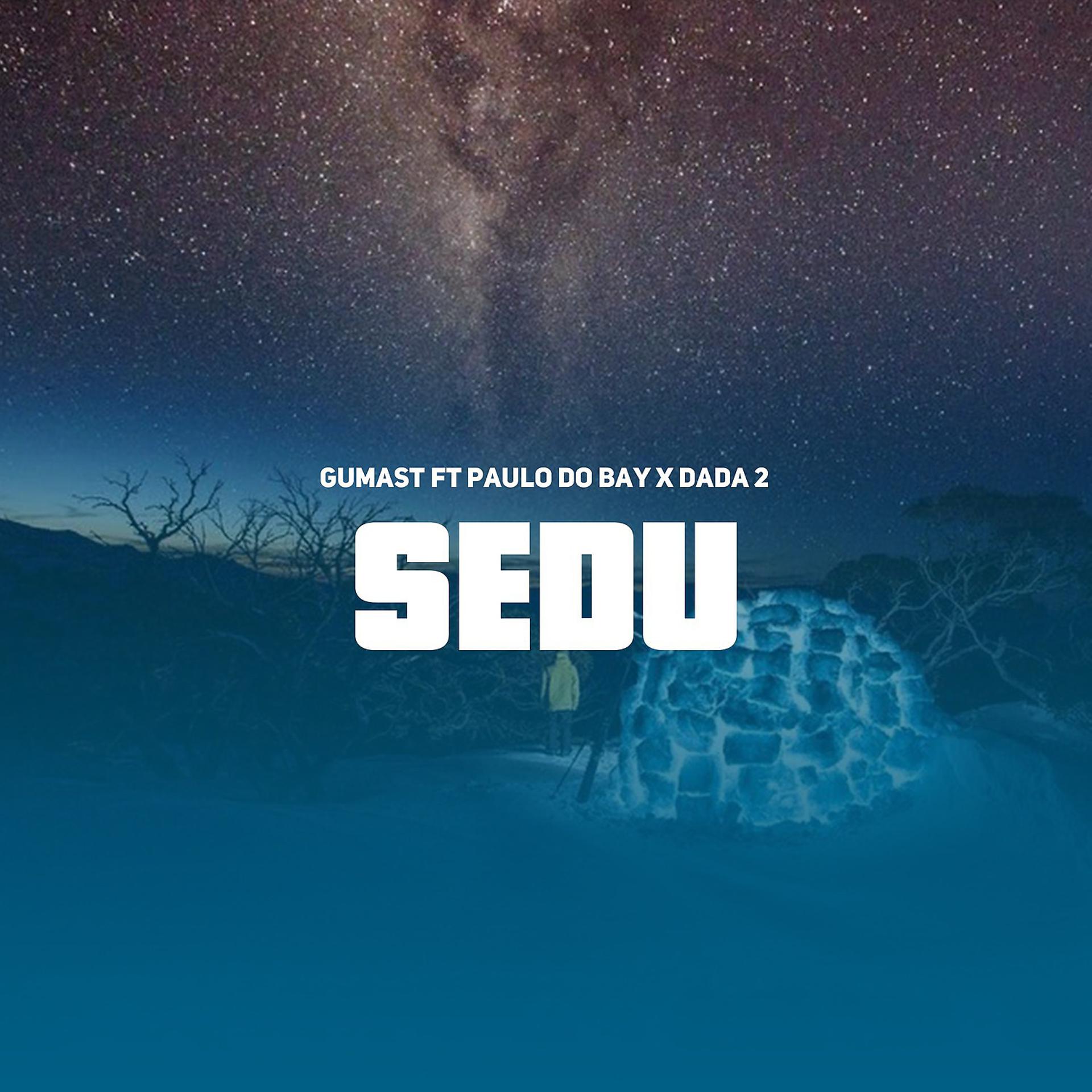 Постер альбома Sedu