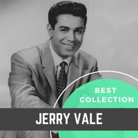 Постер альбома Best Collection Jerry Vale