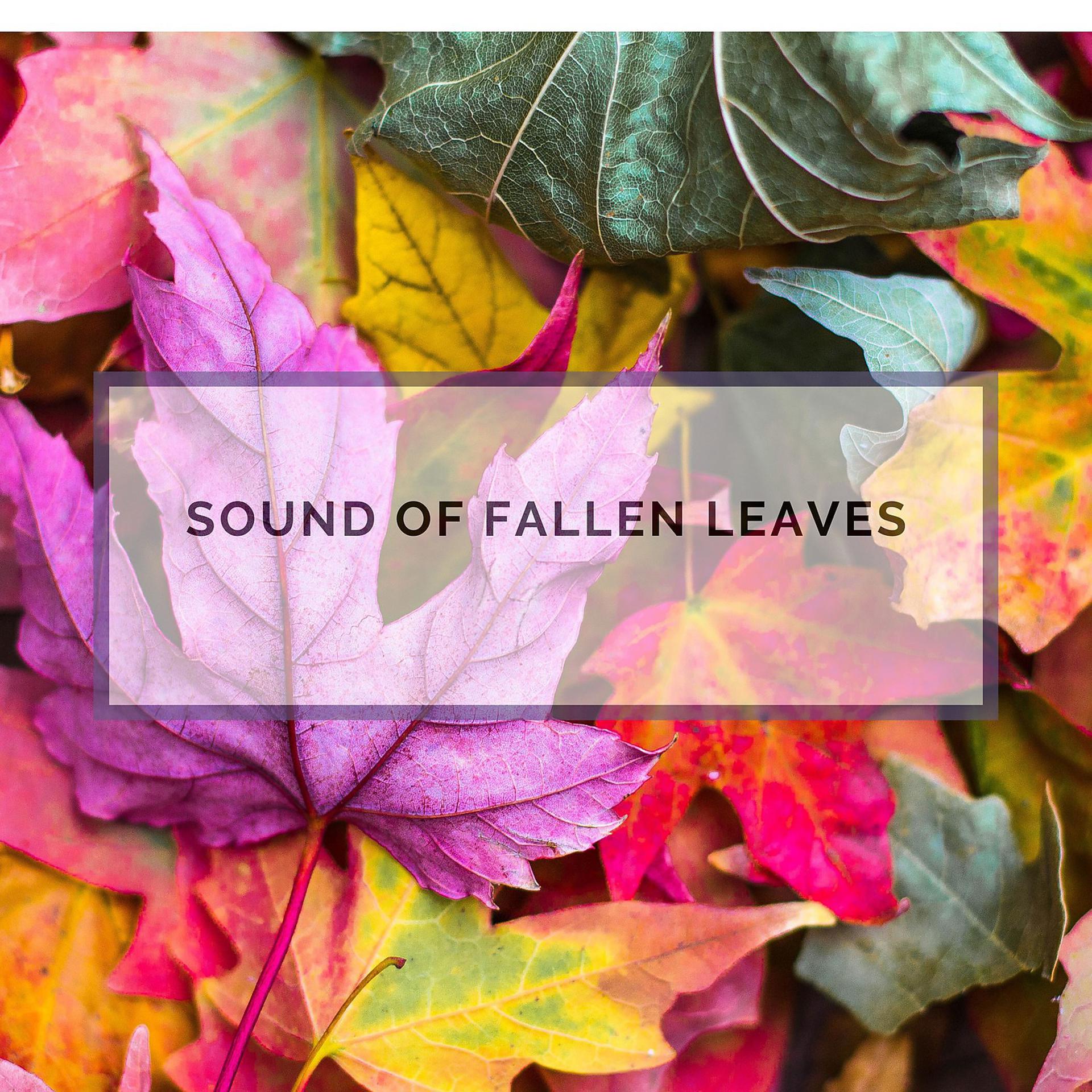 Постер альбома Sound of Fallen Leaves