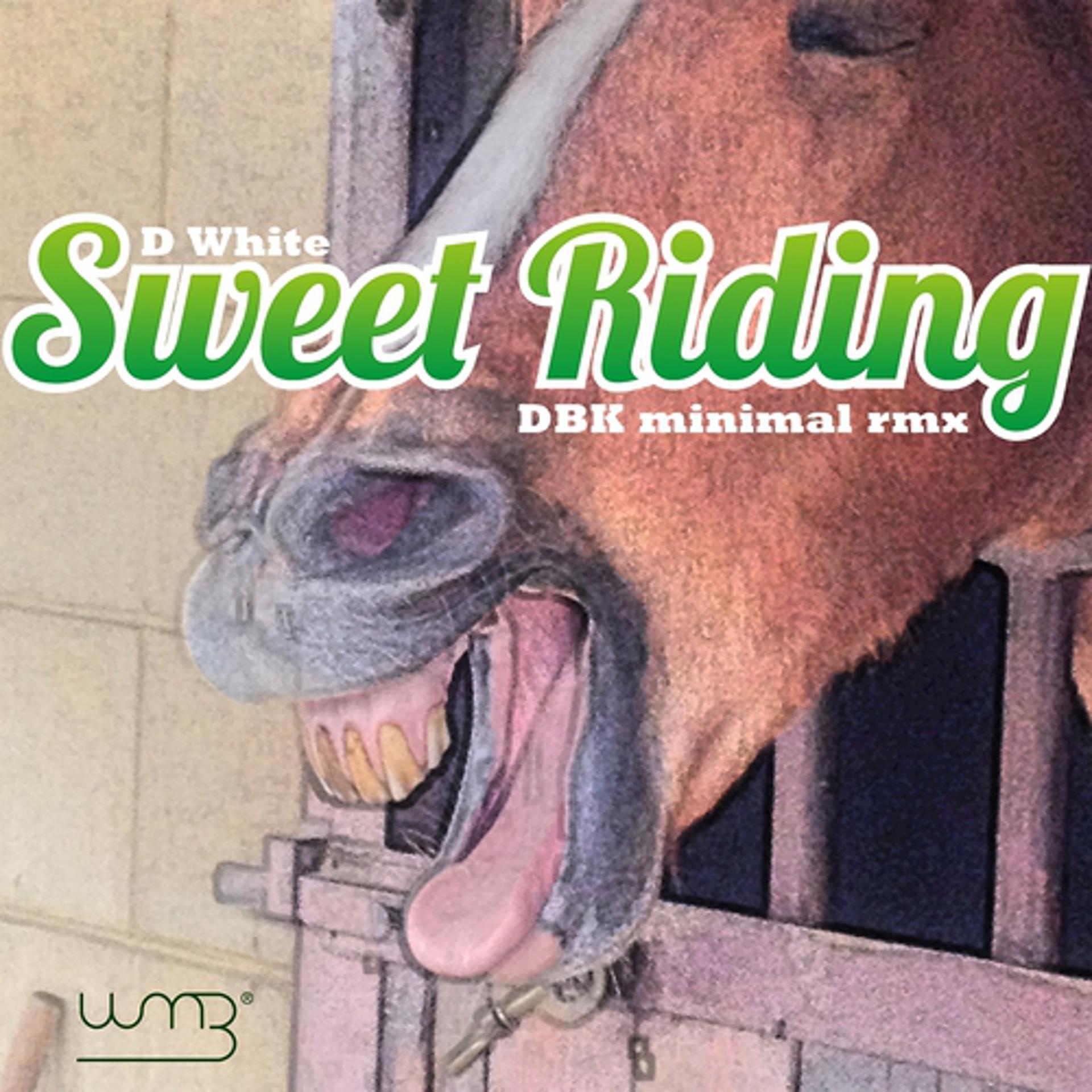 Постер альбома Sweet Riding
