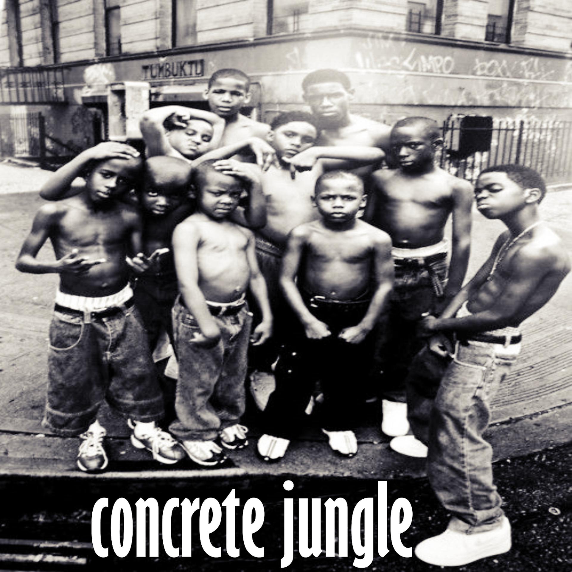 Постер альбома Concrete Jungle